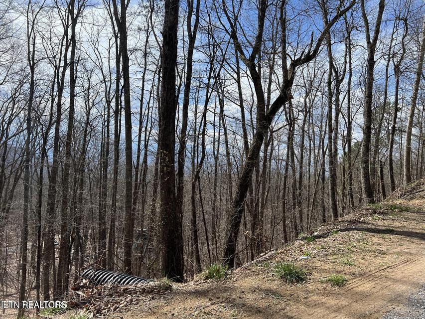 Clingmans View Sevierville TN 37876