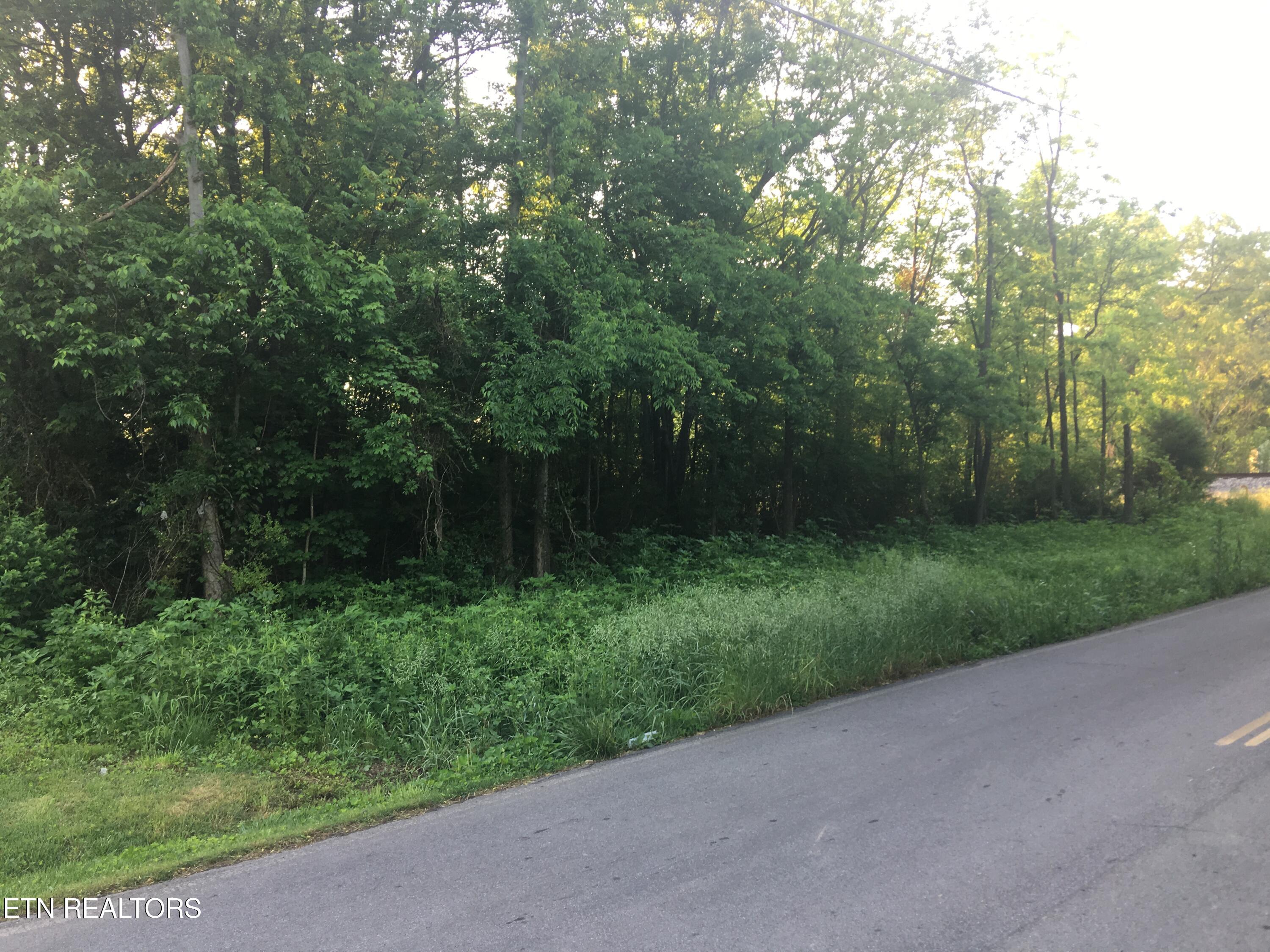 450 Butler Road Decatur TN 37322