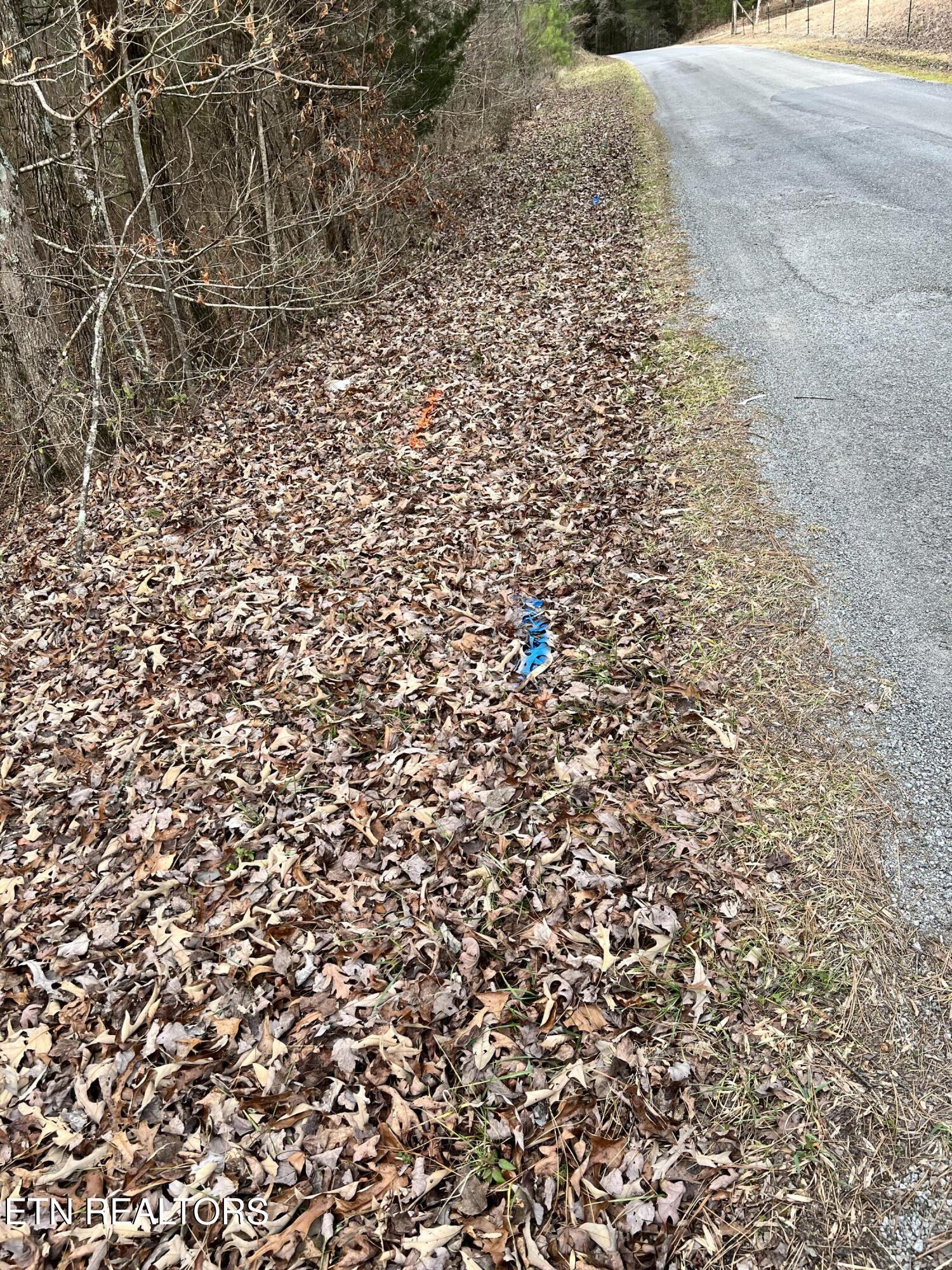 450 Butler Road Decatur TN 37322