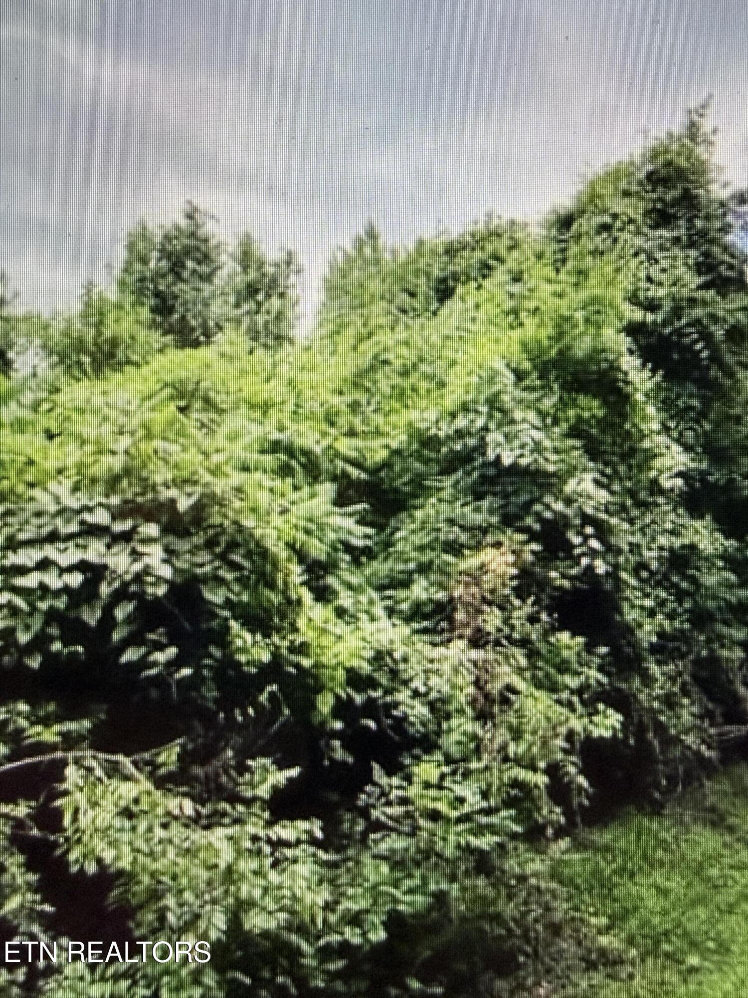 450 Butler Road Decatur TN 37322
