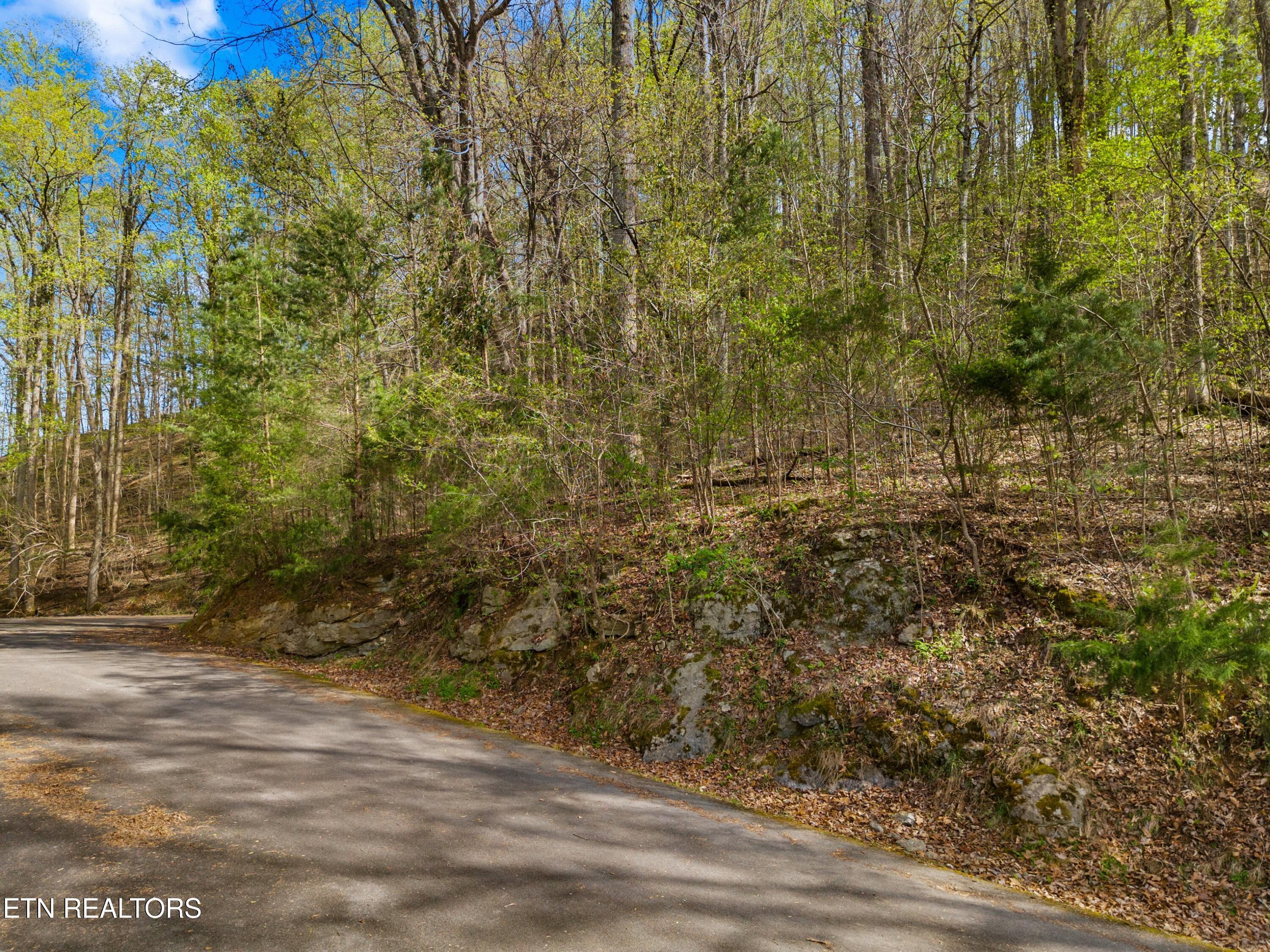 Five Oaks Circle Whitesburg TN 37891