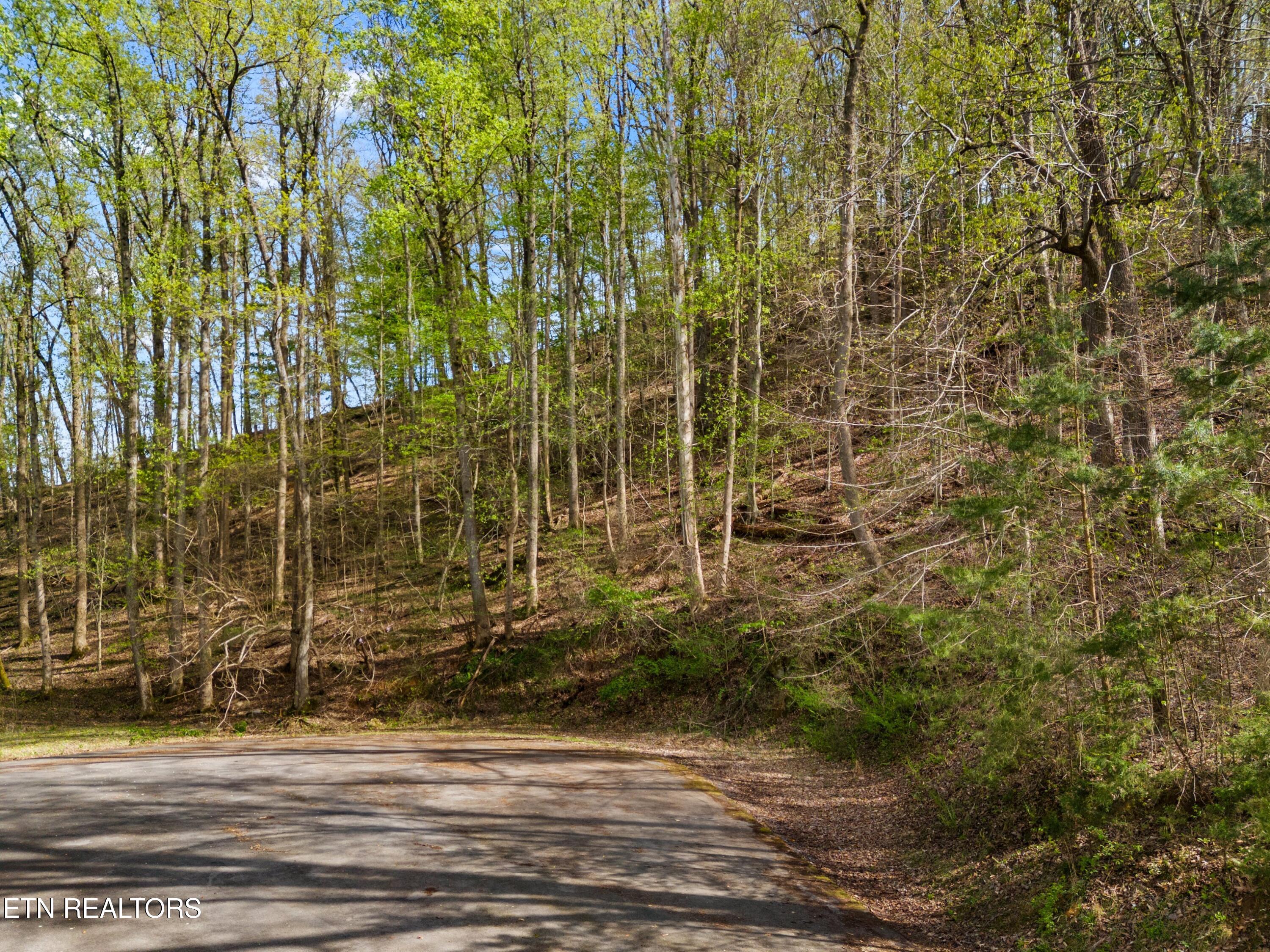 Five Oaks Circle Whitesburg TN 37891