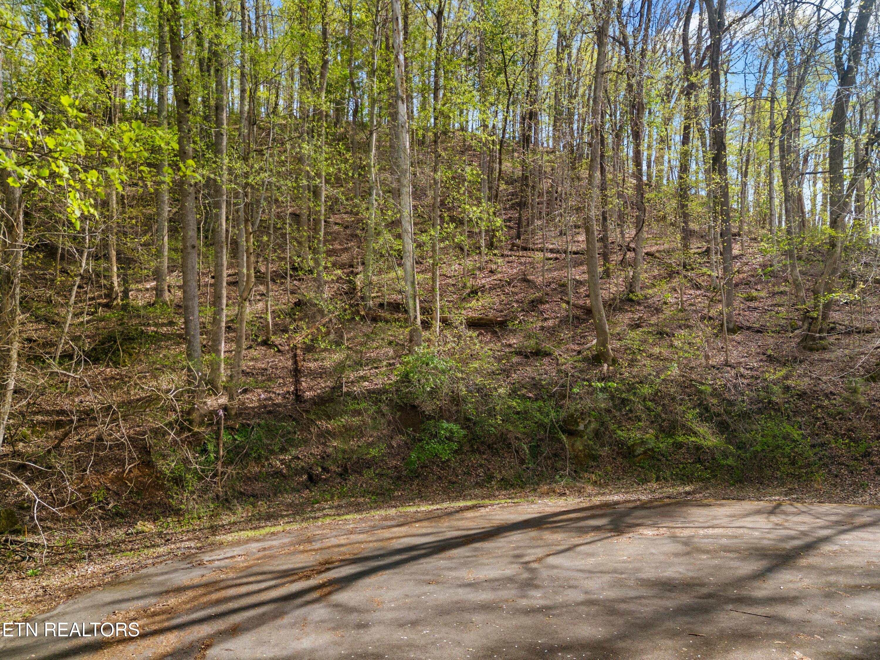 Five Oaks Circle Whitesburg TN 37891