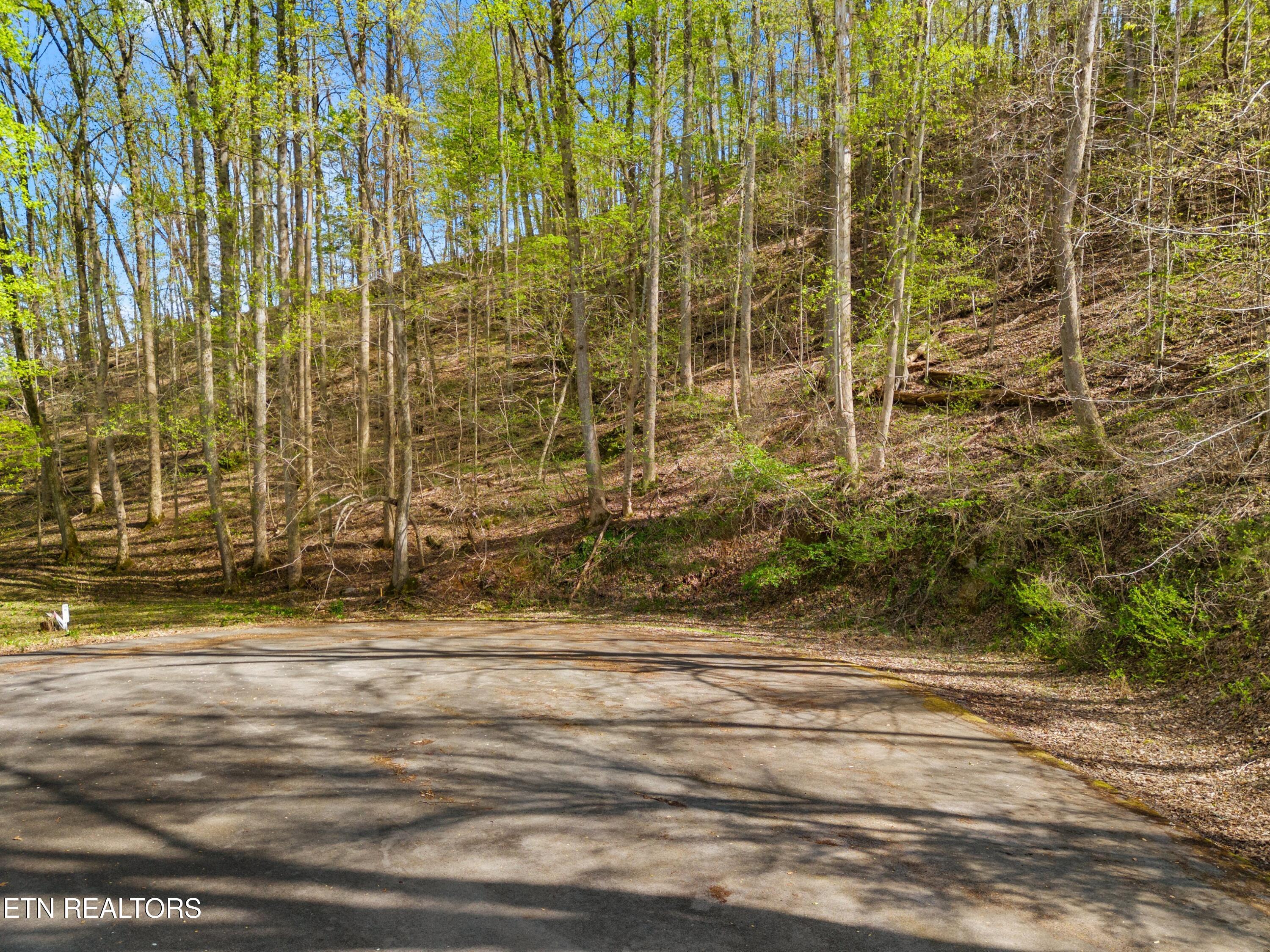 Five Oaks Circle Whitesburg TN 37891