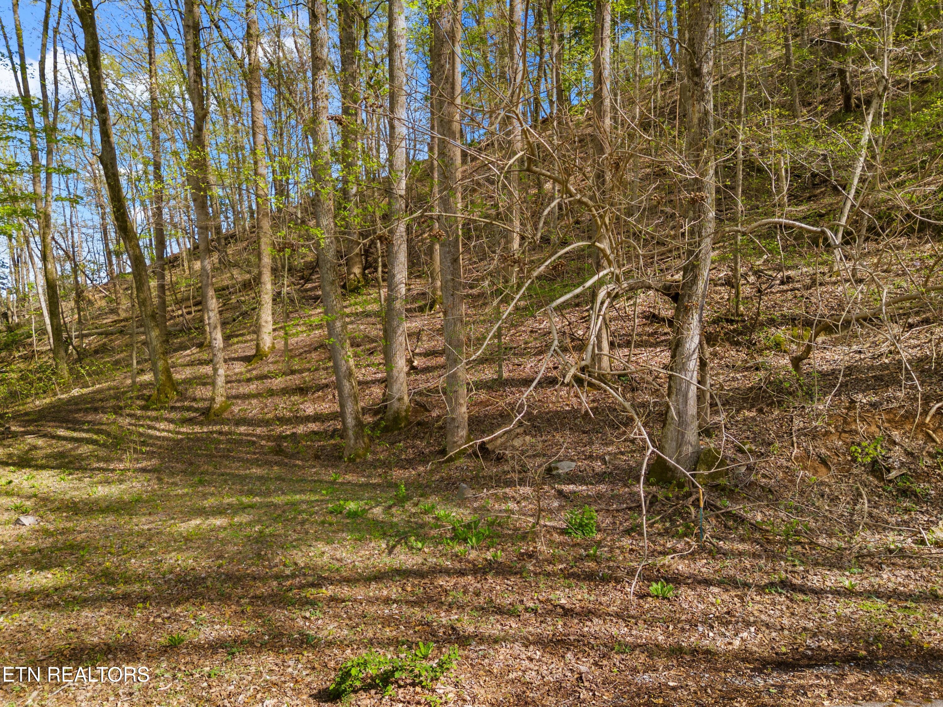 Five Oaks Circle Whitesburg TN 37891