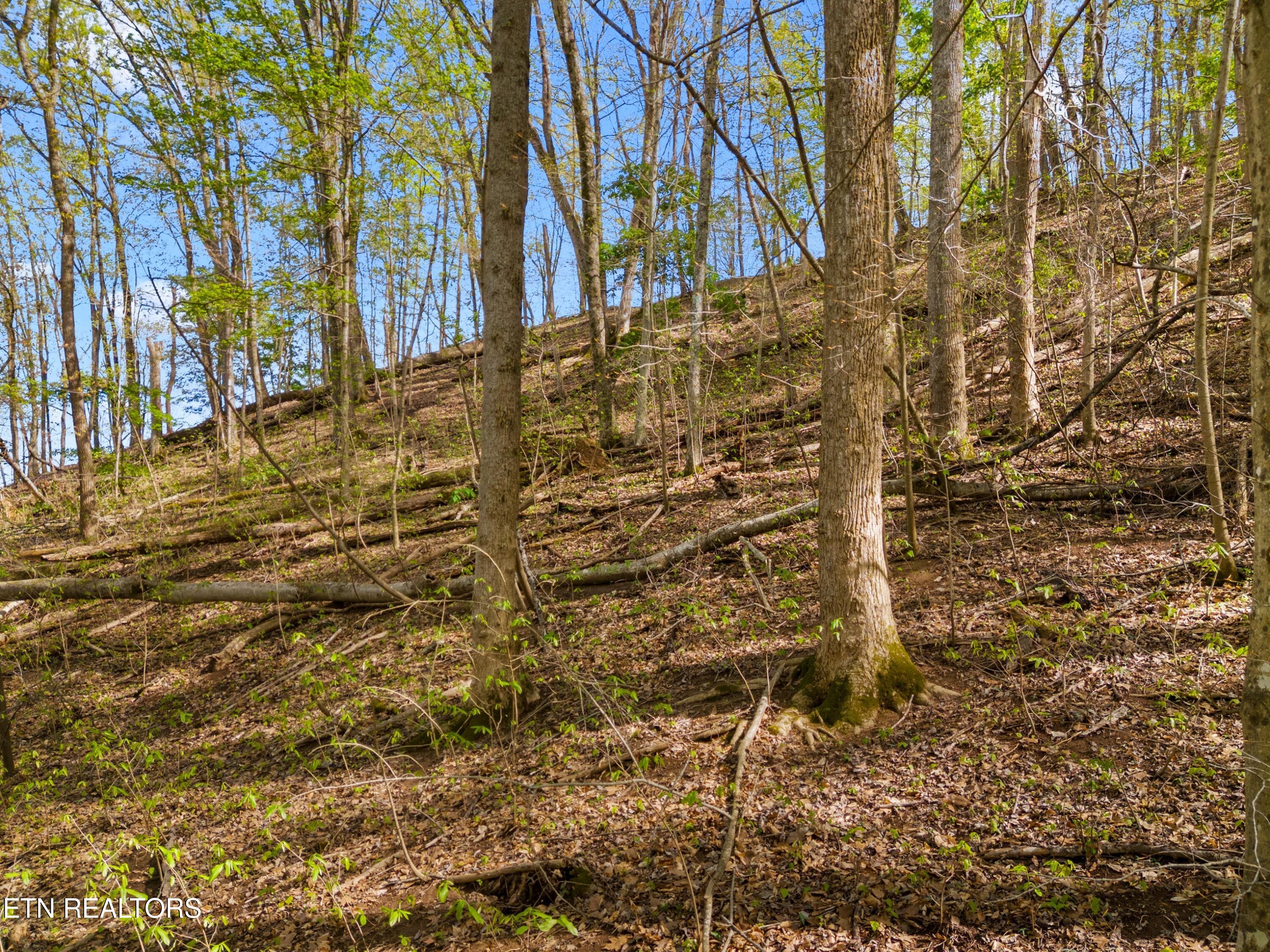Five Oaks Circle Whitesburg TN 37891
