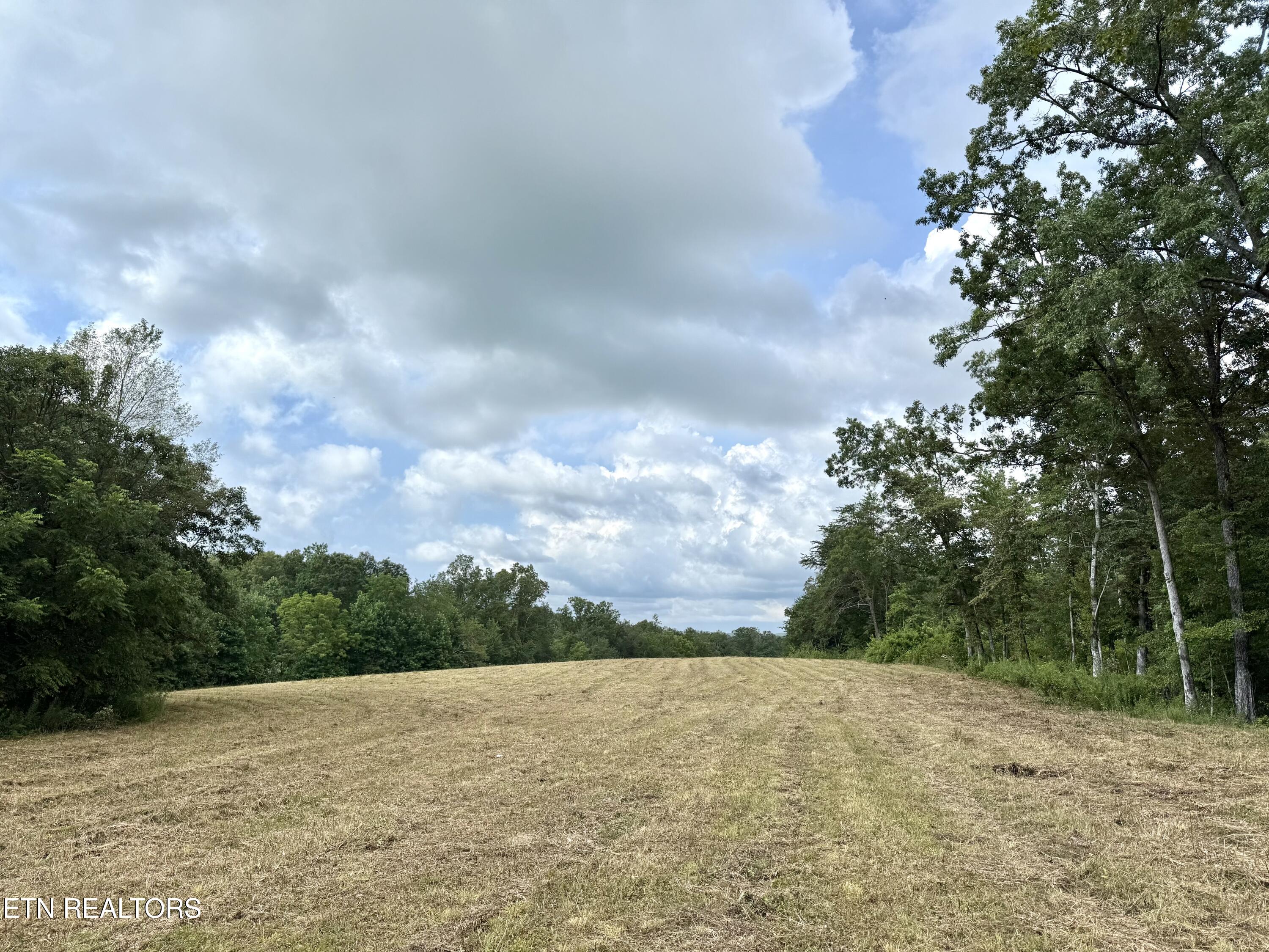 2571 Bellview Road Pikeville TN 37367