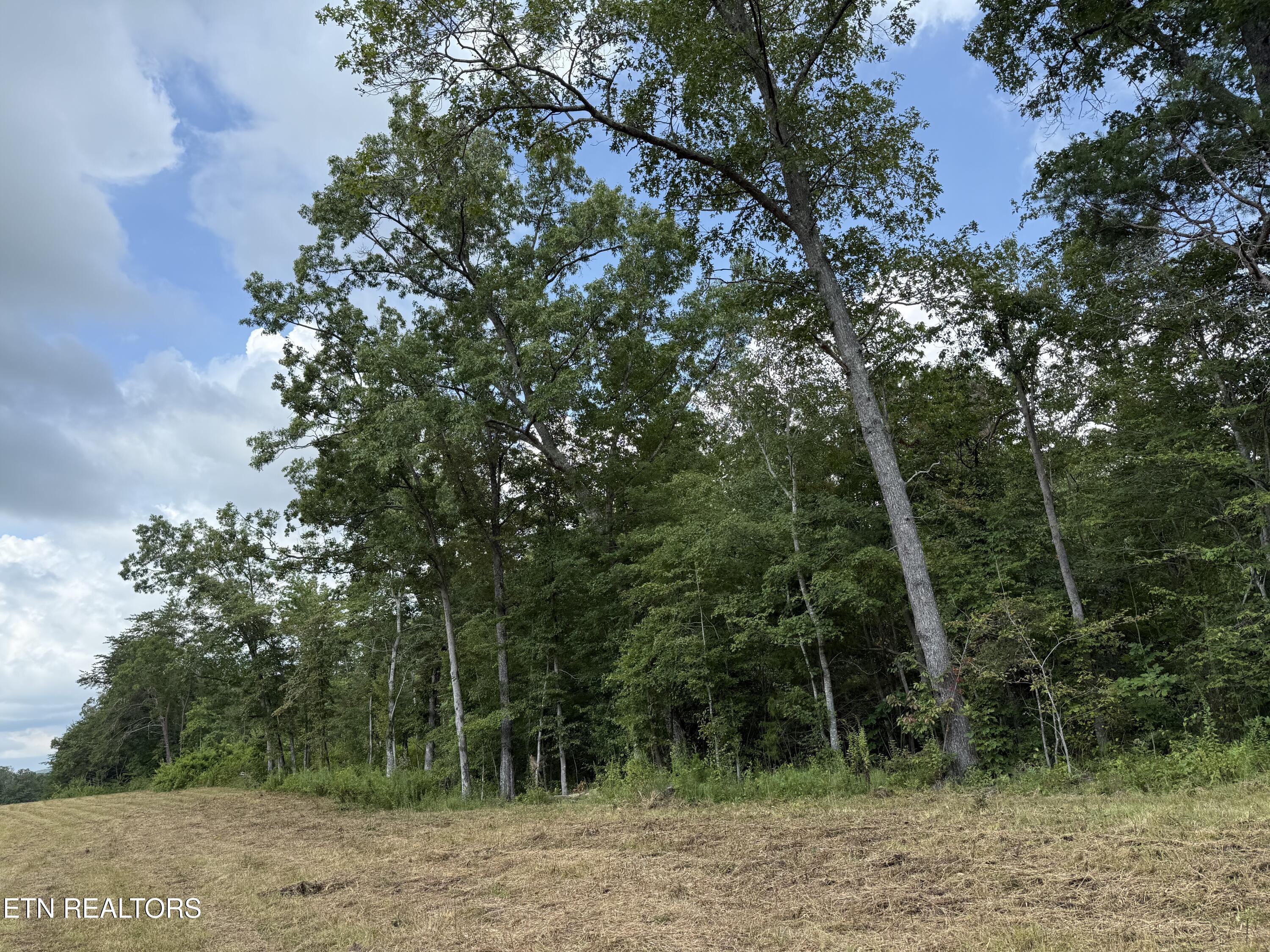 2571 Bellview Road Pikeville TN 37367