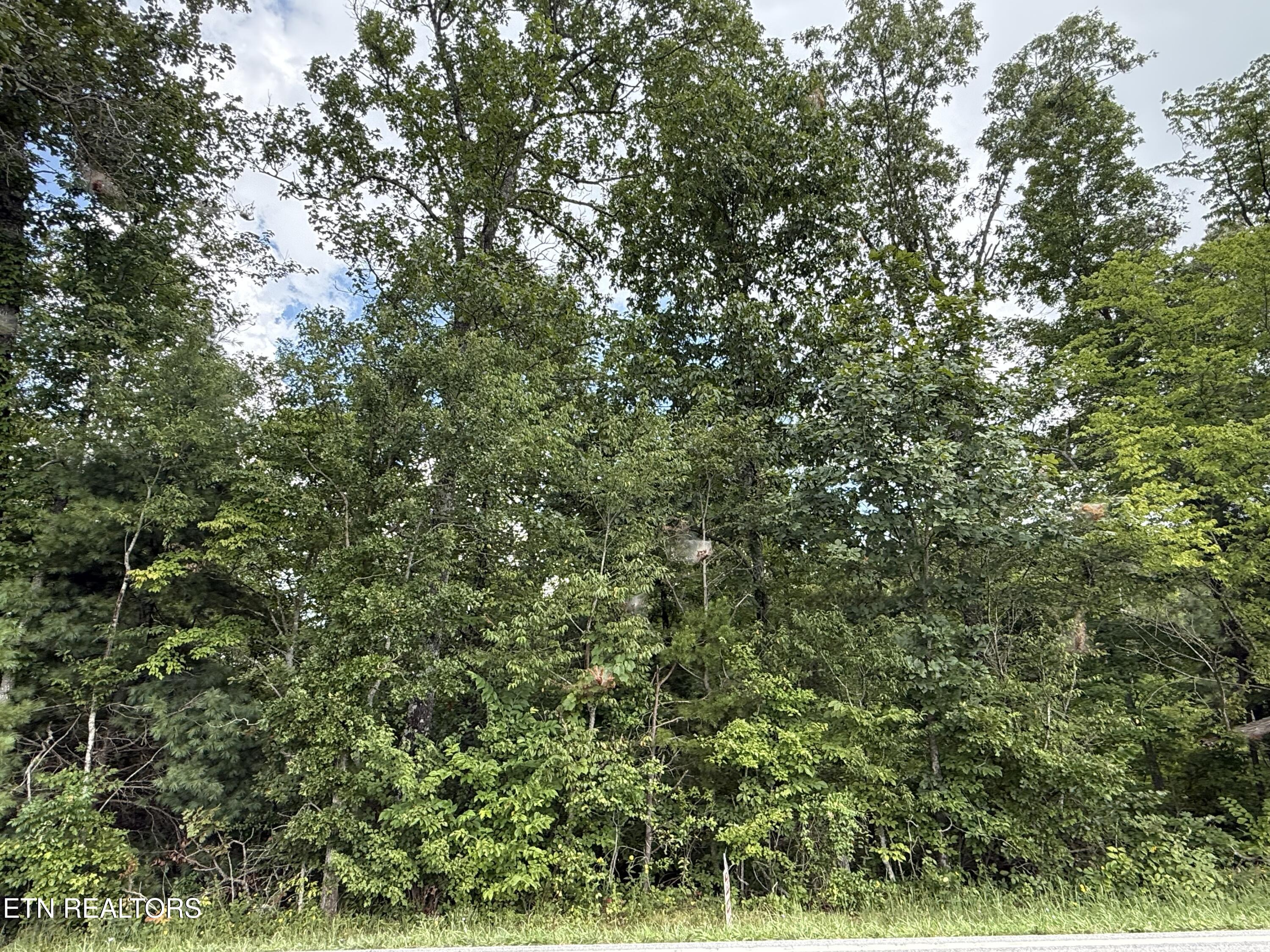 2571 Bellview Road Pikeville TN 37367
