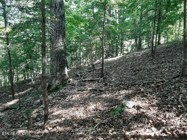 Deer Pond Circle Lafollette TN 37766