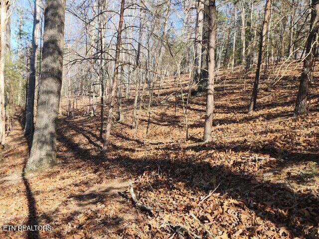 Deer Pond Circle Lafollette TN 37766