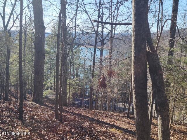 Deer Pond Circle Lafollette TN 37766