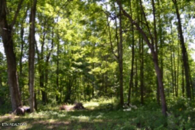 318 Rock Springs Road Celina TN 38551