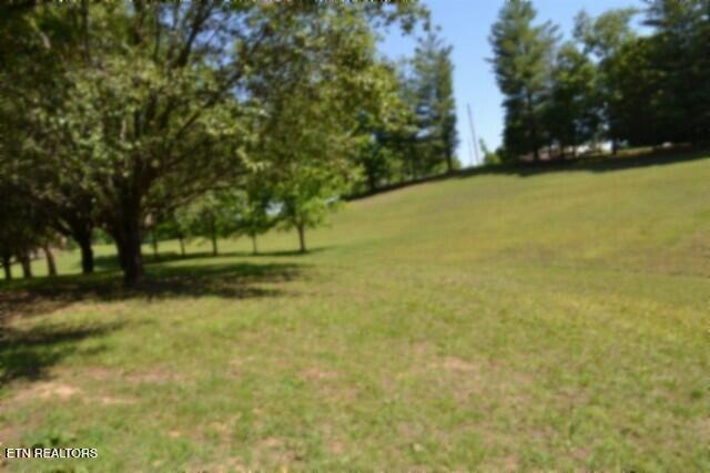 318 Rock Springs Road Celina TN 38551