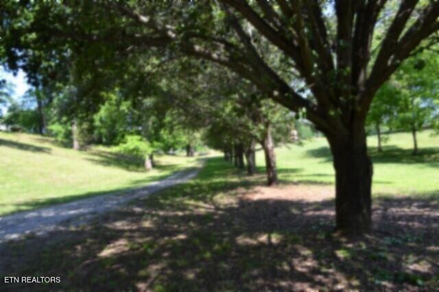 318 Rock Springs Road Celina TN 38551