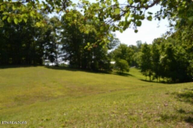 318 Rock Springs Road Celina TN 38551