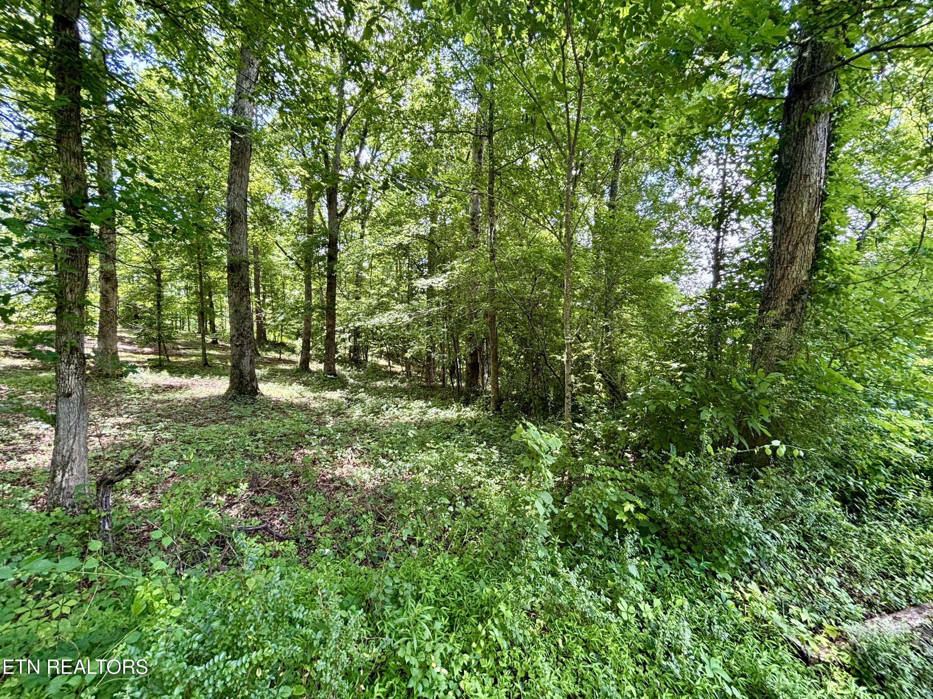 0 Rolling Acres Drive Rockwood TN 37854