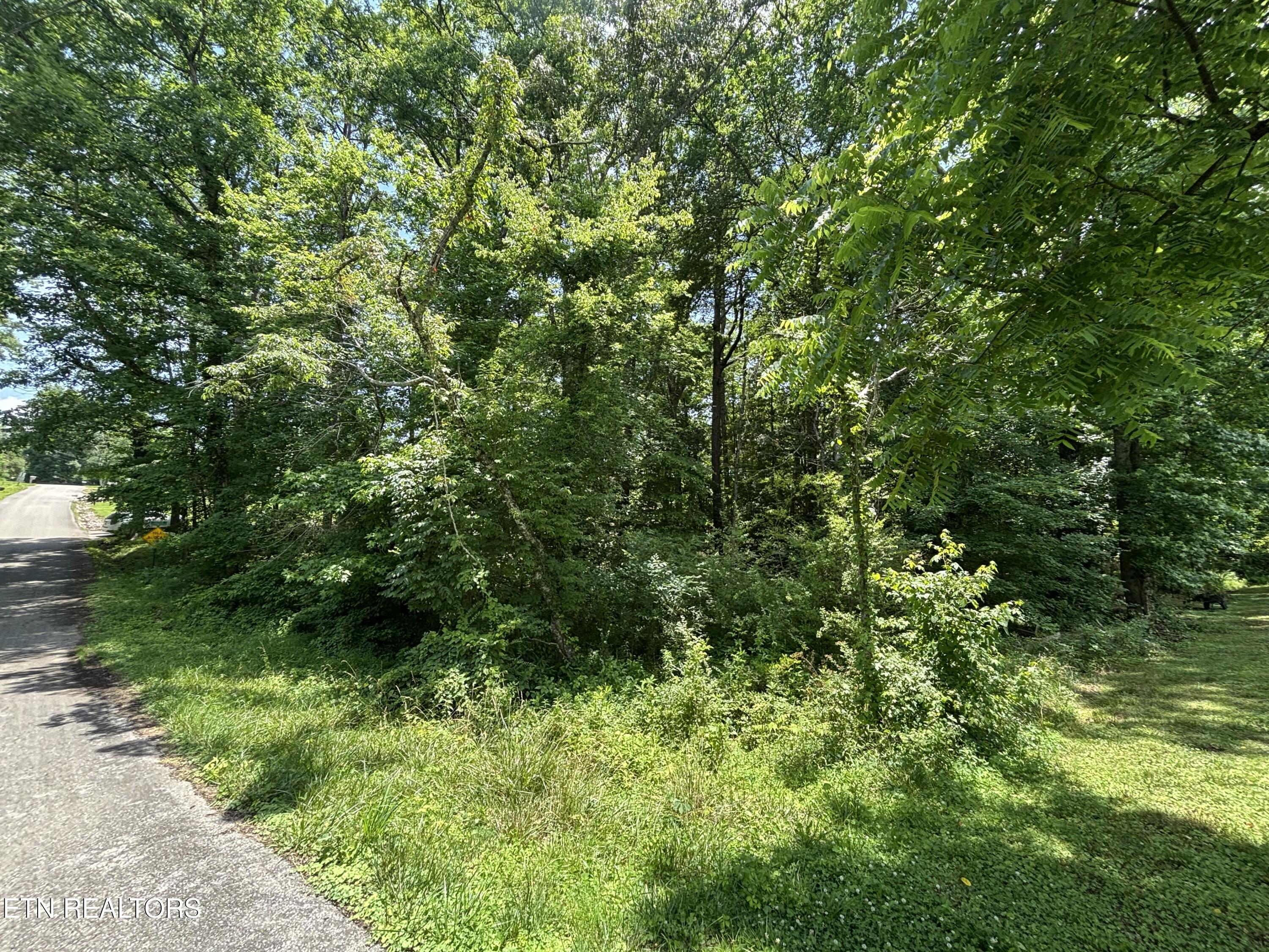 0 Rolling Acres Drive Rockwood TN 37854