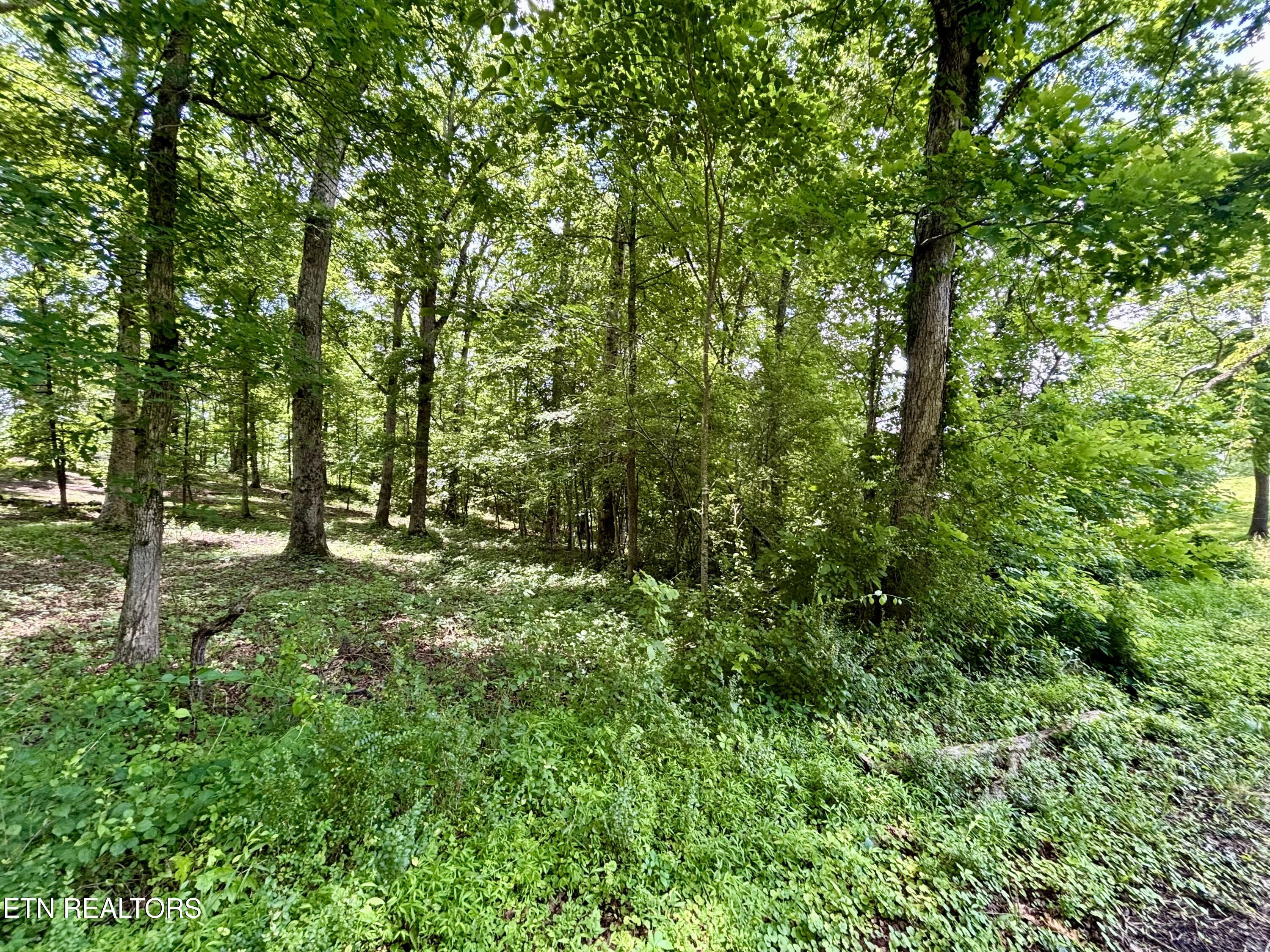 0 Rolling Acres Drive Rockwood TN 37854