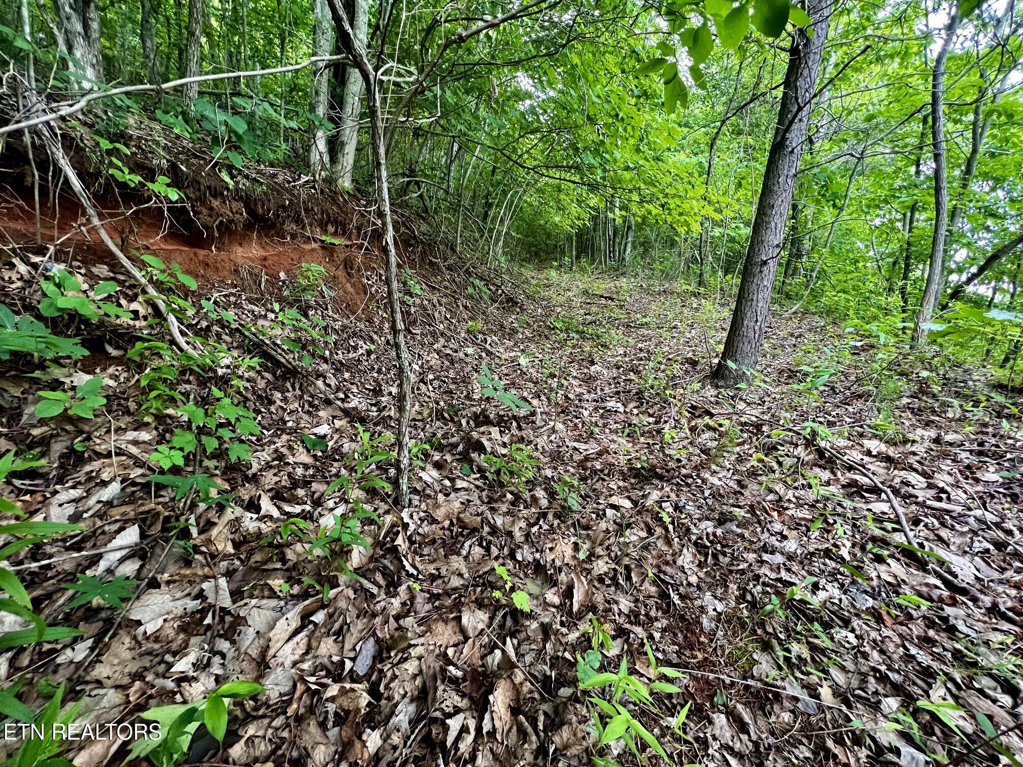 Lot 212 Clinch View Road New Tazewell TN 37825