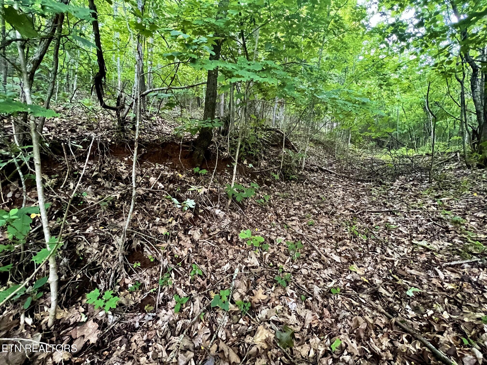 Lot 212 Clinch View Road New Tazewell TN 37825