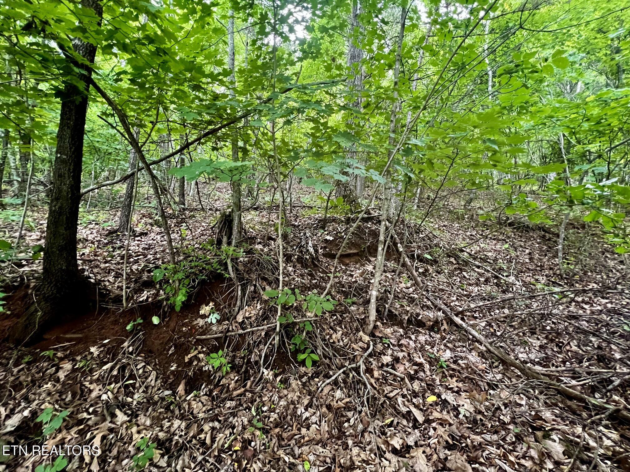 Lot 212 Clinch View Road New Tazewell TN 37825
