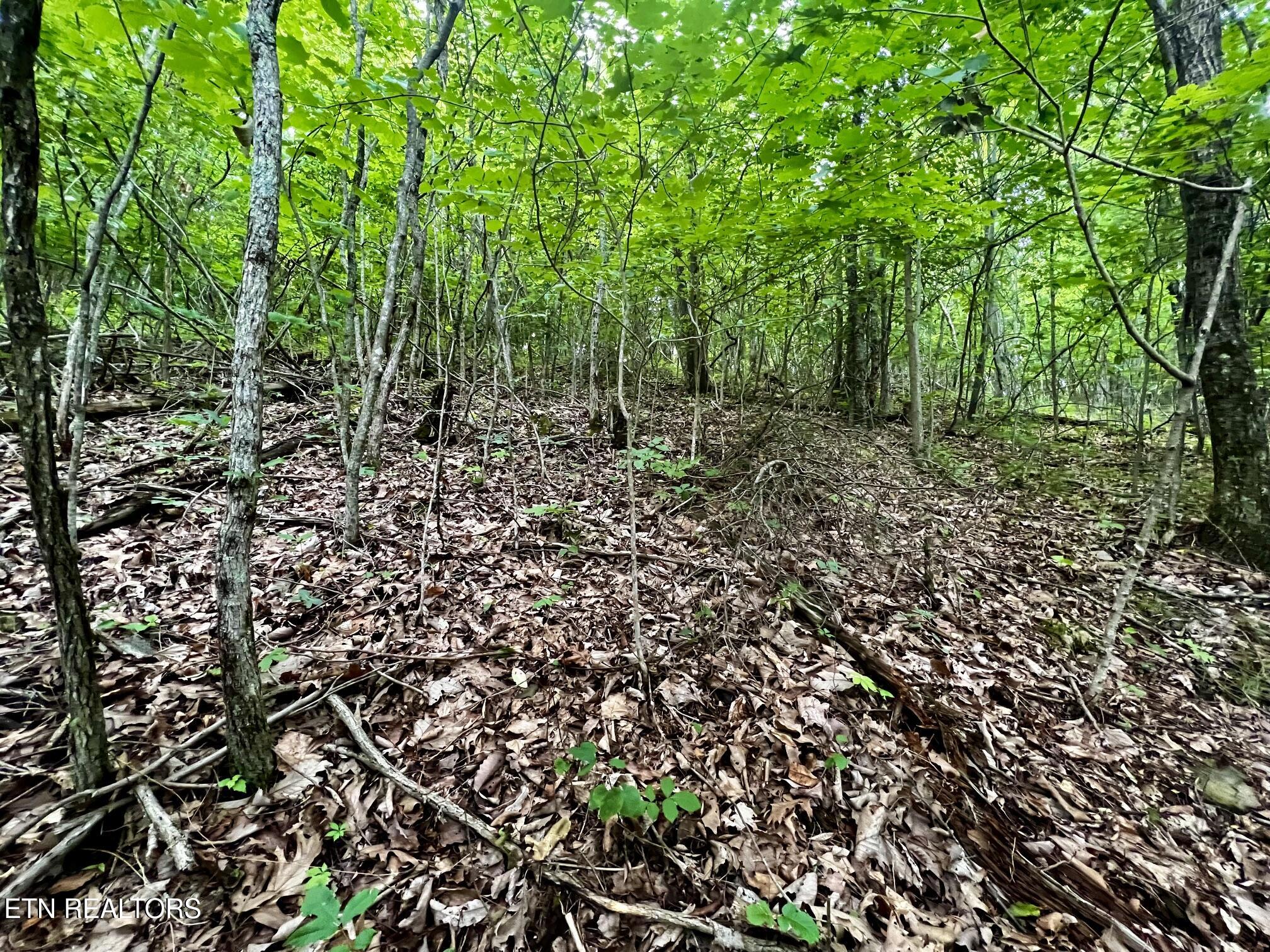 Lot 212 Clinch View Road New Tazewell TN 37825