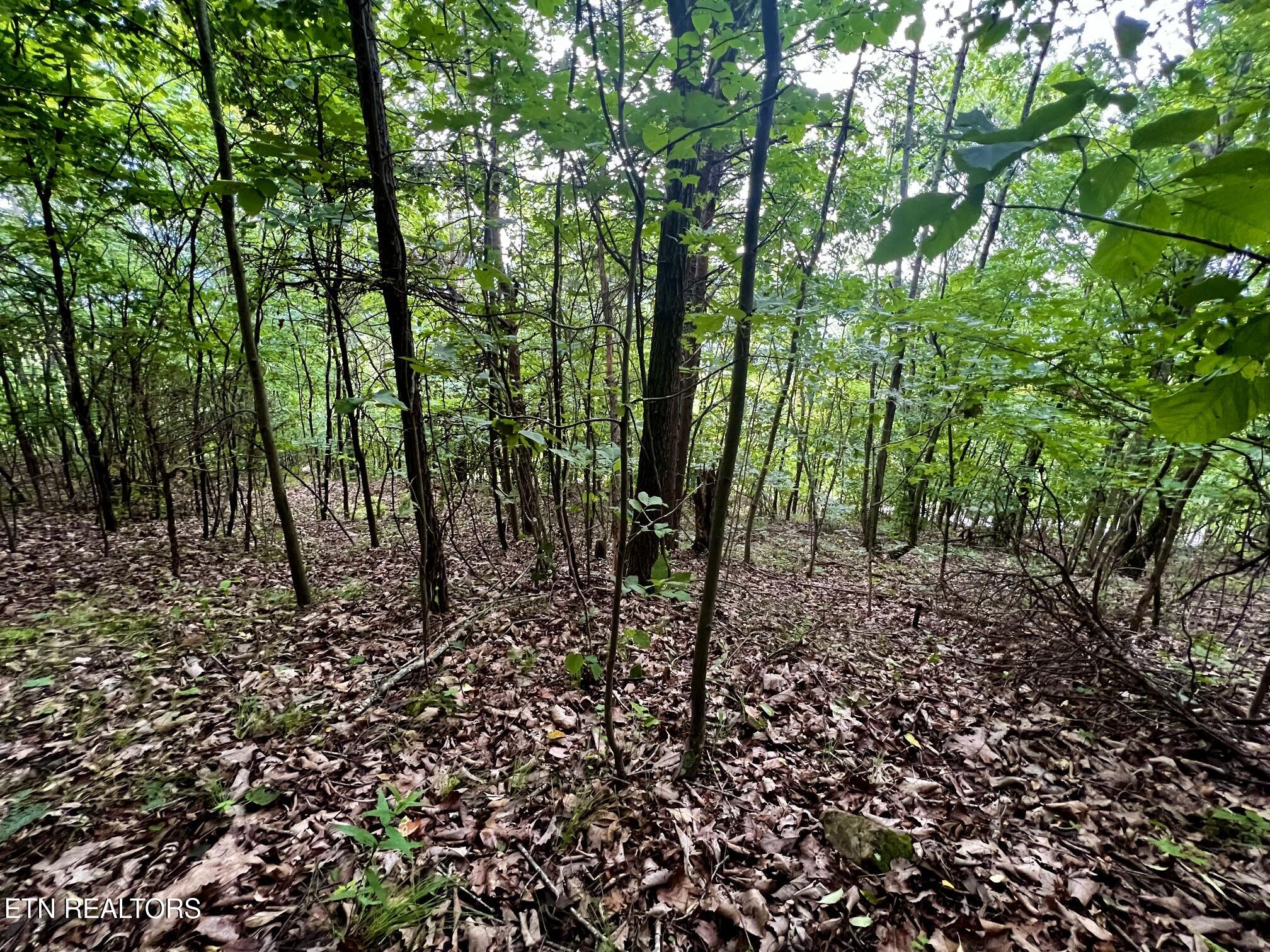 Lot 212 Clinch View Road New Tazewell TN 37825