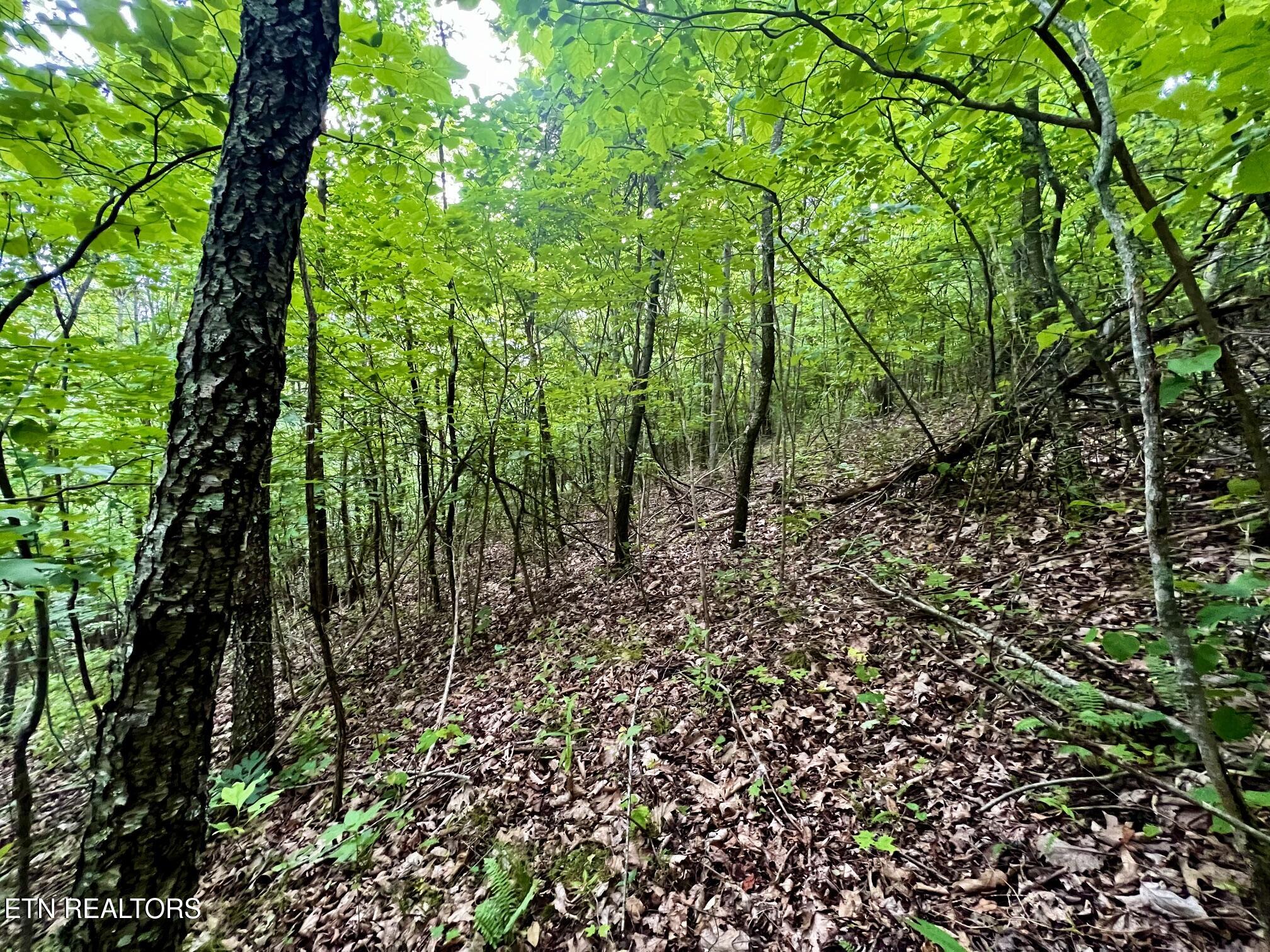 Lot 212 Clinch View Road New Tazewell TN 37825