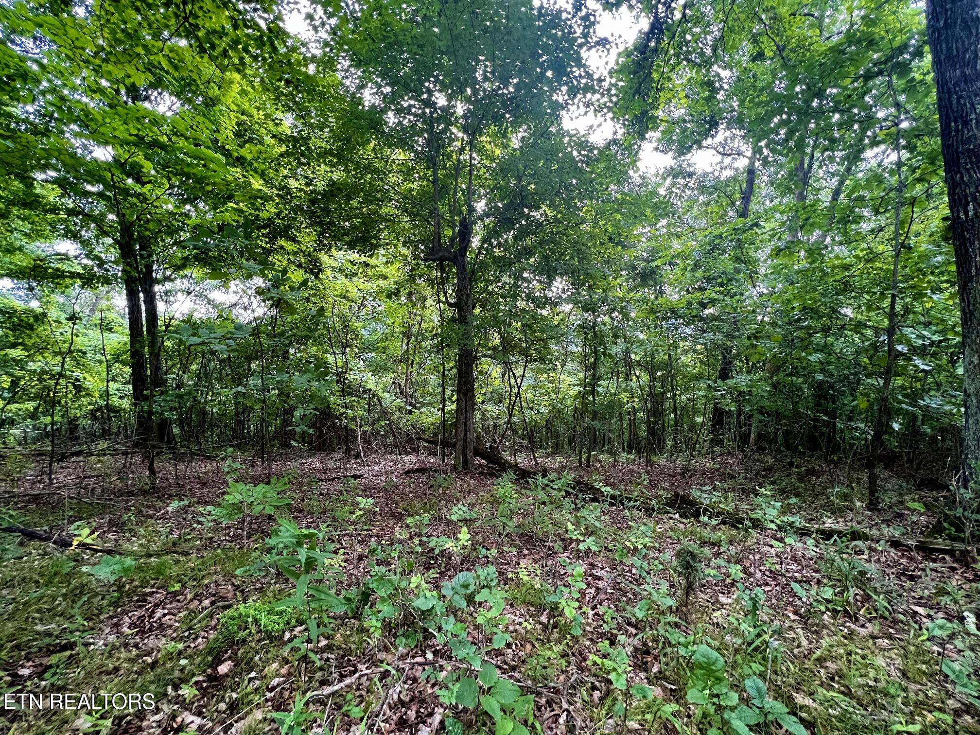 Lot 212 Clinch View Road New Tazewell TN 37825