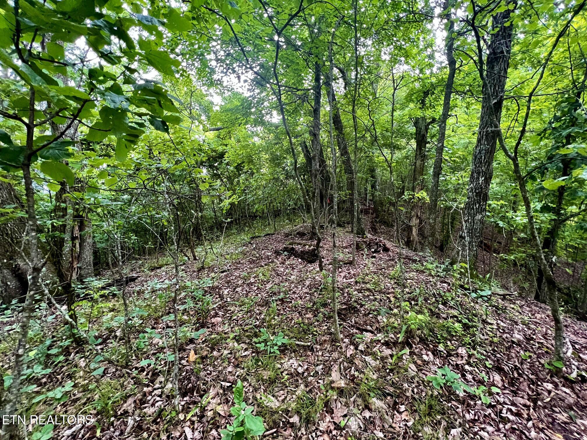 Lot 212 Clinch View Road New Tazewell TN 37825