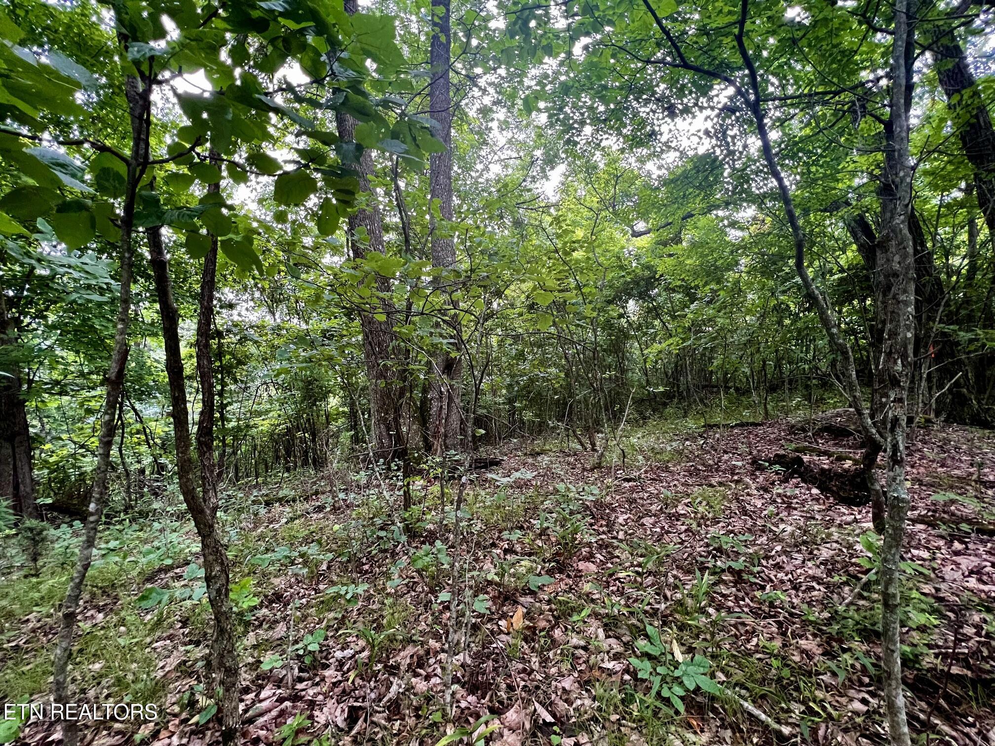 Lot 212 Clinch View Road New Tazewell TN 37825