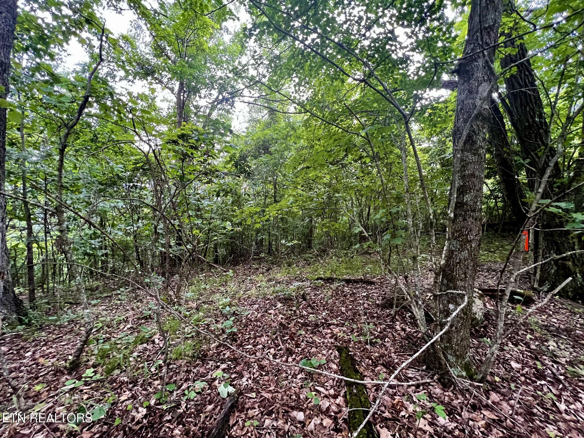 Lot 212 Clinch View Road New Tazewell TN 37825