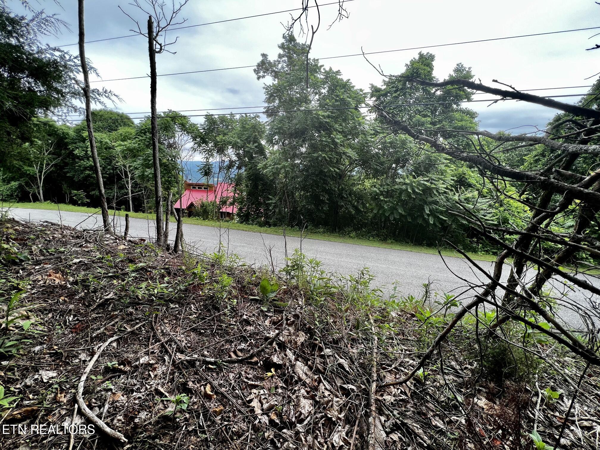 Lot 212 Clinch View Road New Tazewell TN 37825
