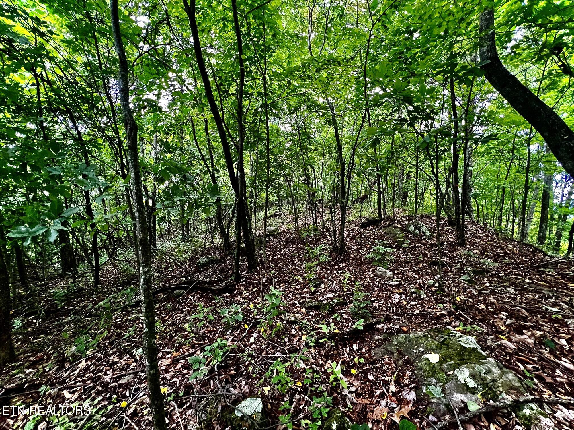 Lot 212 Clinch View Road New Tazewell TN 37825