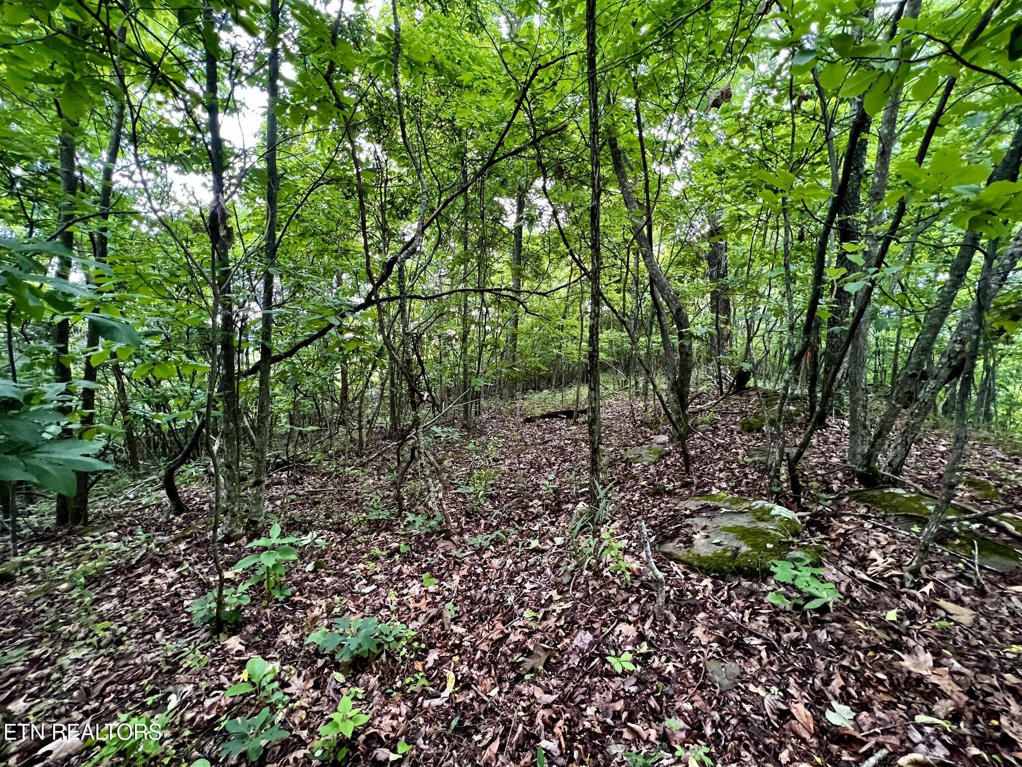 Lot 212 Clinch View Road New Tazewell TN 37825