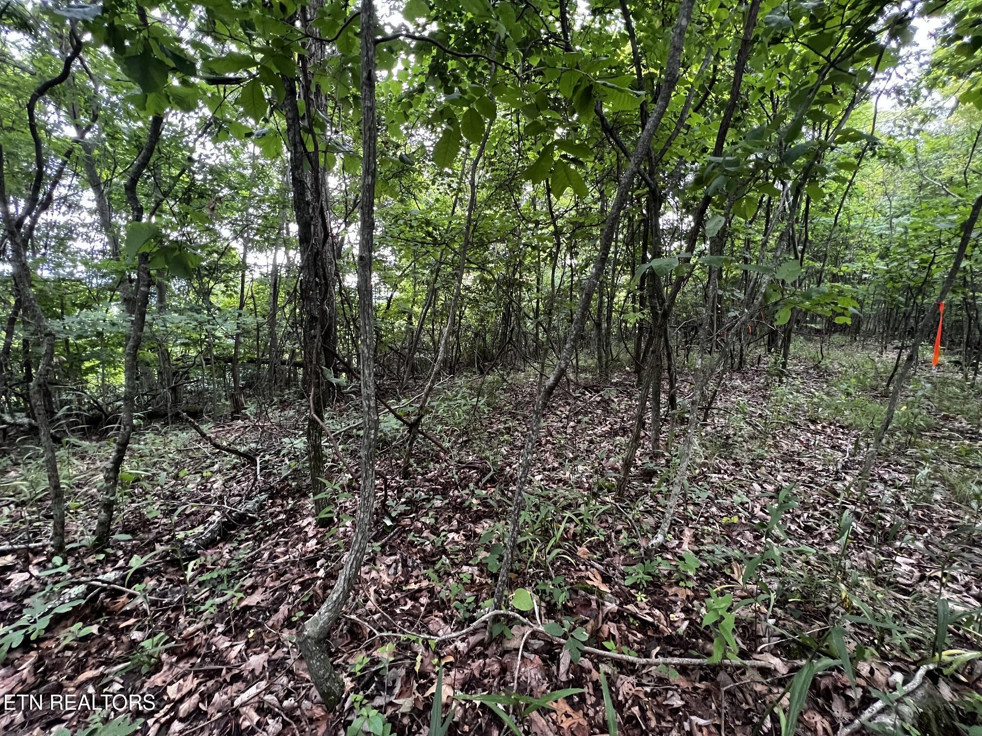 Lot 212 Clinch View Road New Tazewell TN 37825