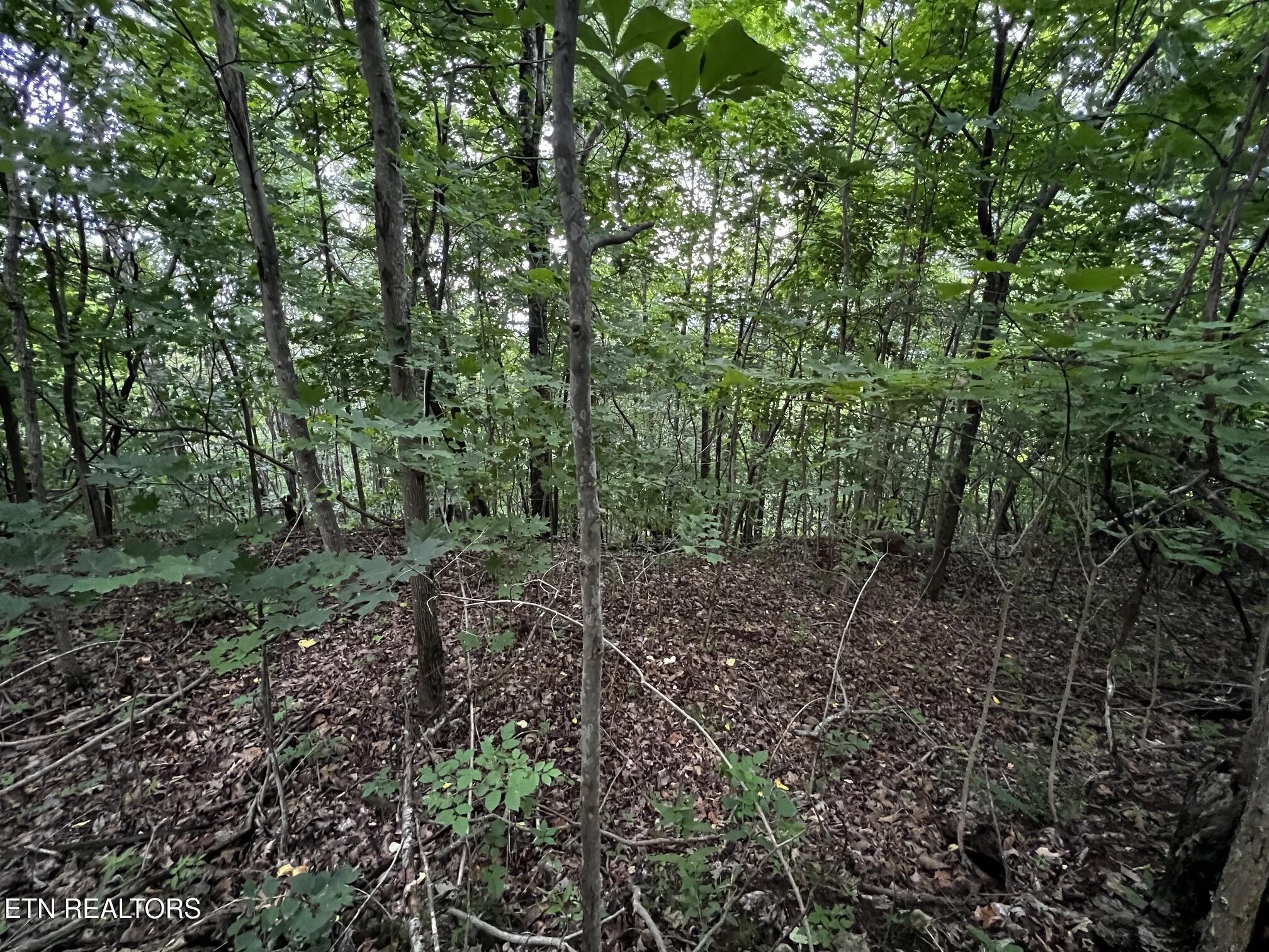 Lot 212 Clinch View Road New Tazewell TN 37825