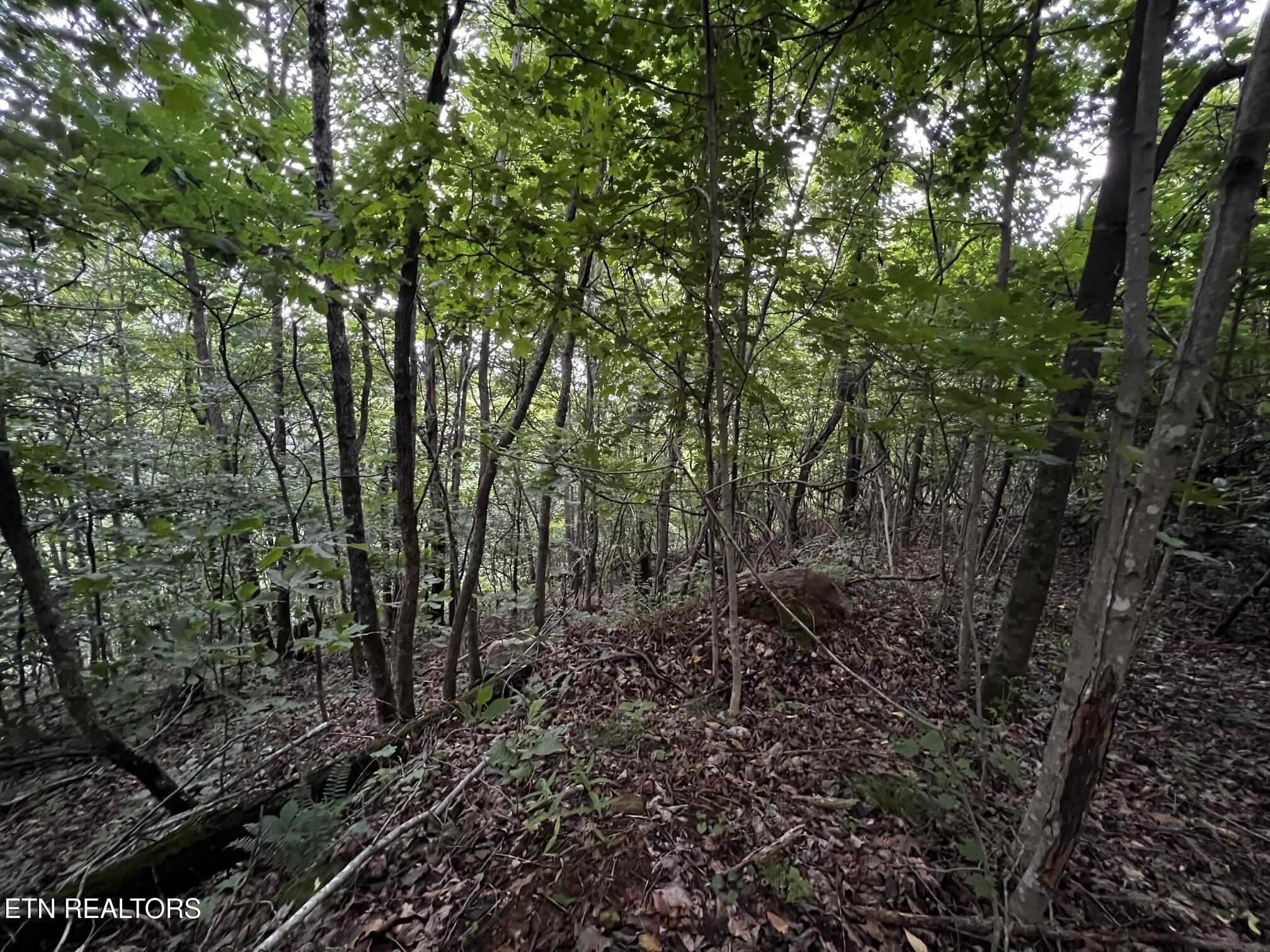 Lot 212 Clinch View Road New Tazewell TN 37825