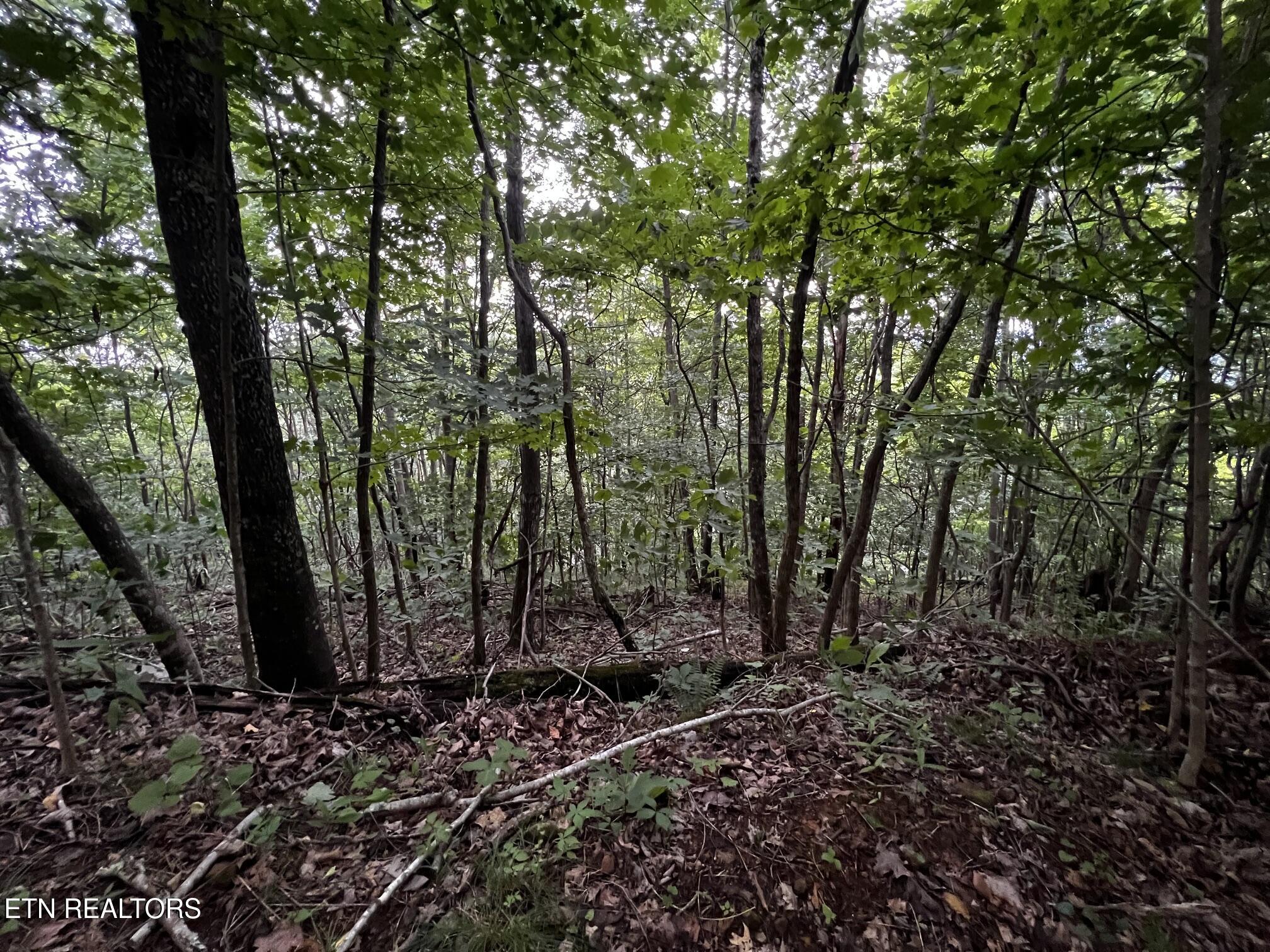 Lot 212 Clinch View Road New Tazewell TN 37825