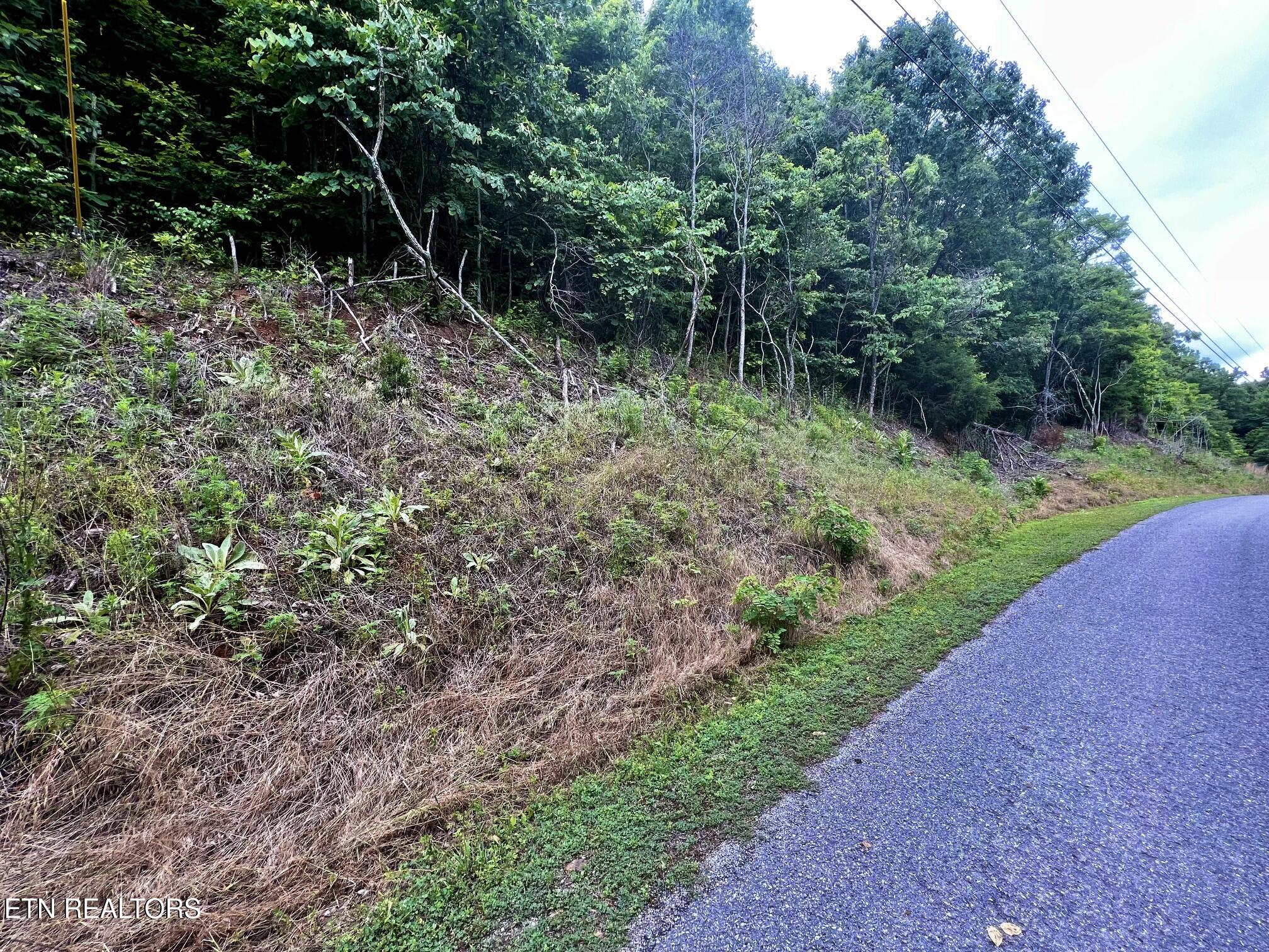 Lot 212 Clinch View Road New Tazewell TN 37825