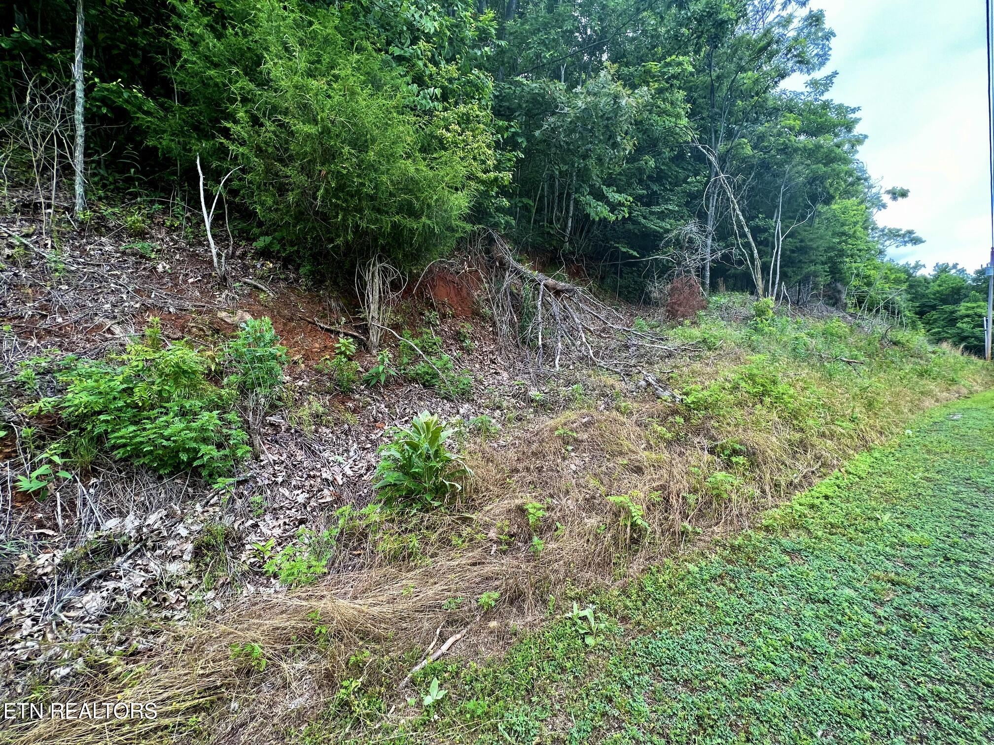Lot 212 Clinch View Road New Tazewell TN 37825