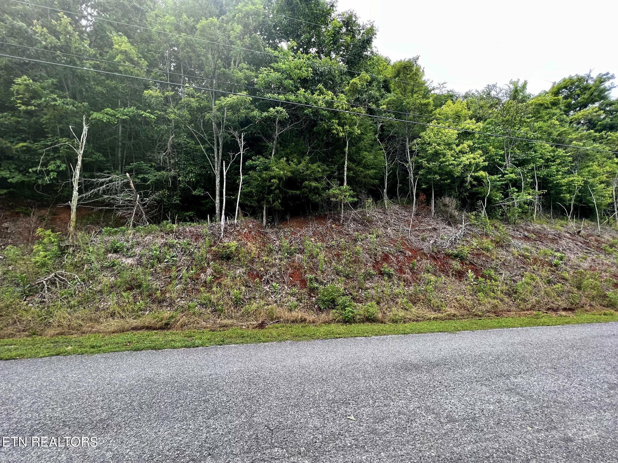 Lot 212 Clinch View Road New Tazewell TN 37825