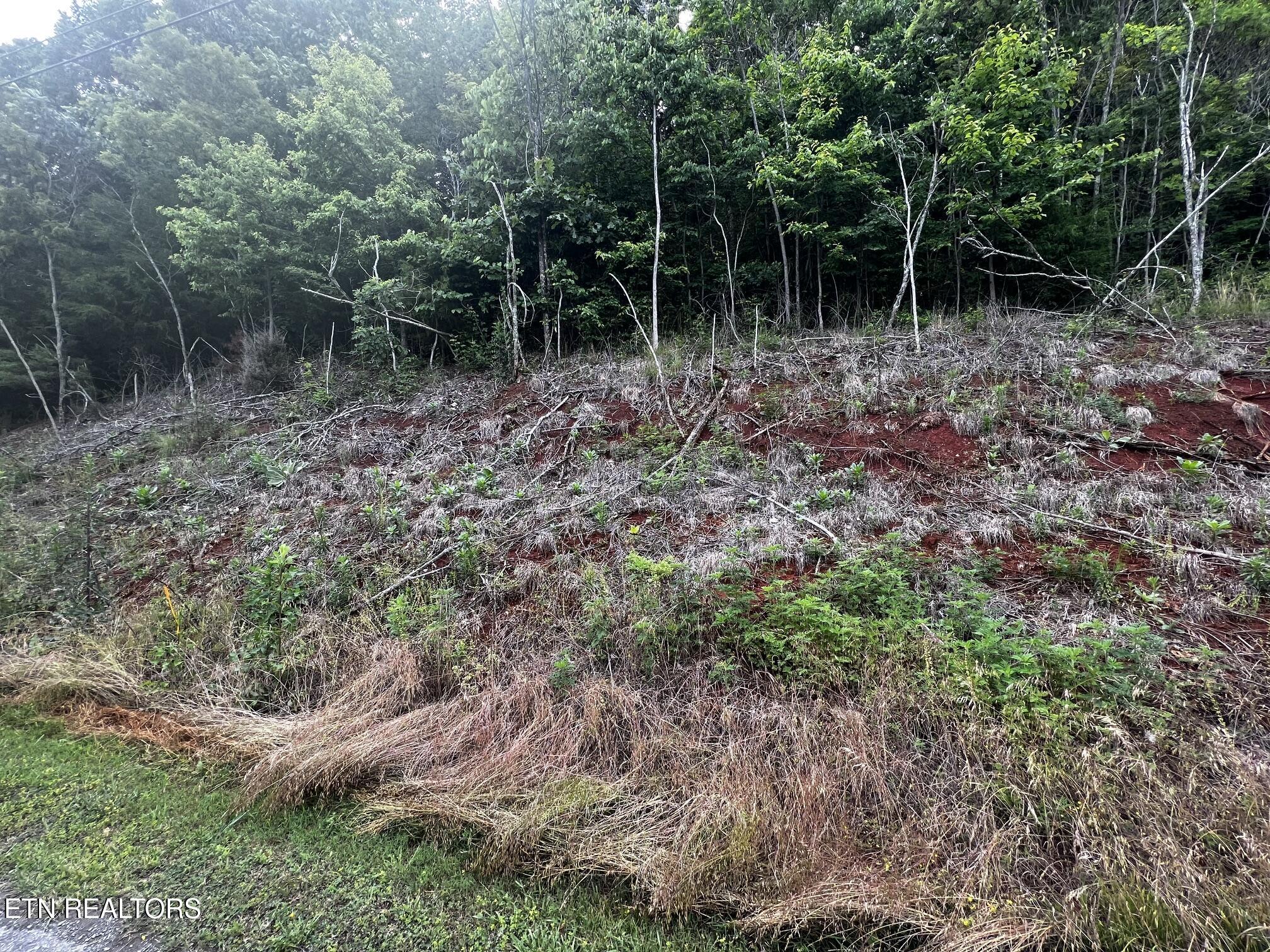 Lot 212 Clinch View Road New Tazewell TN 37825