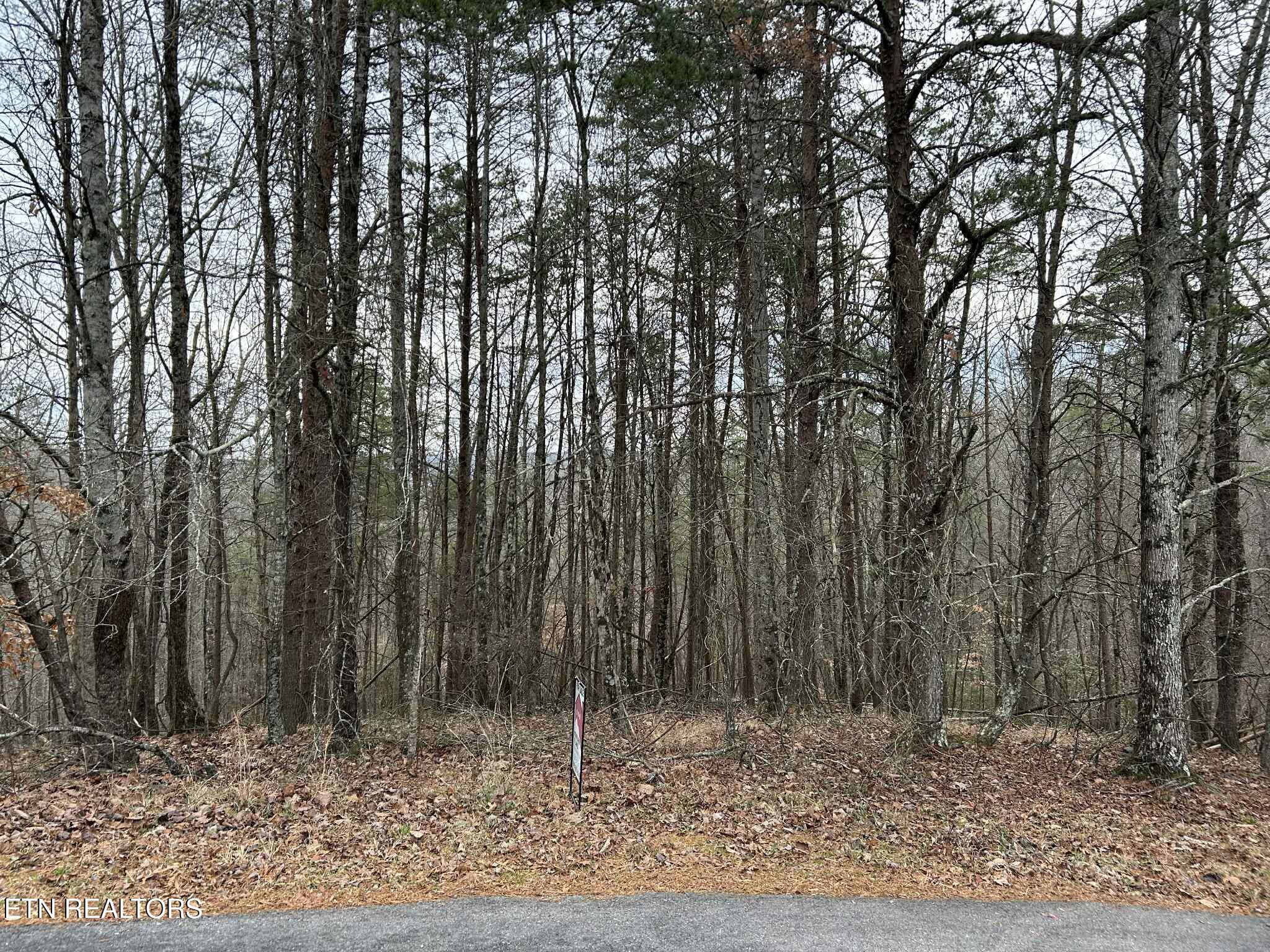 Black Hawk Drive Ten Mile TN 37880