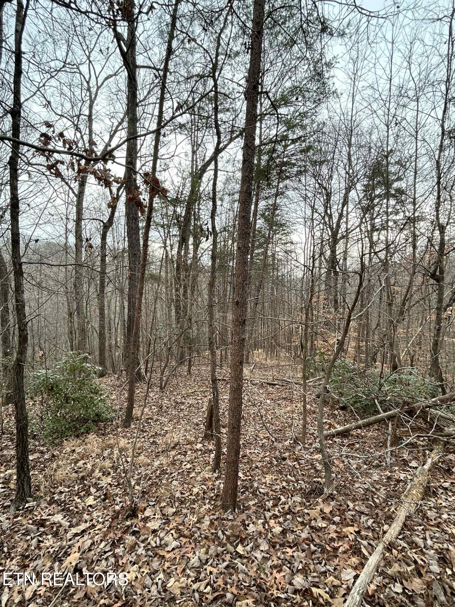 Black Hawk Drive Ten Mile TN 37880