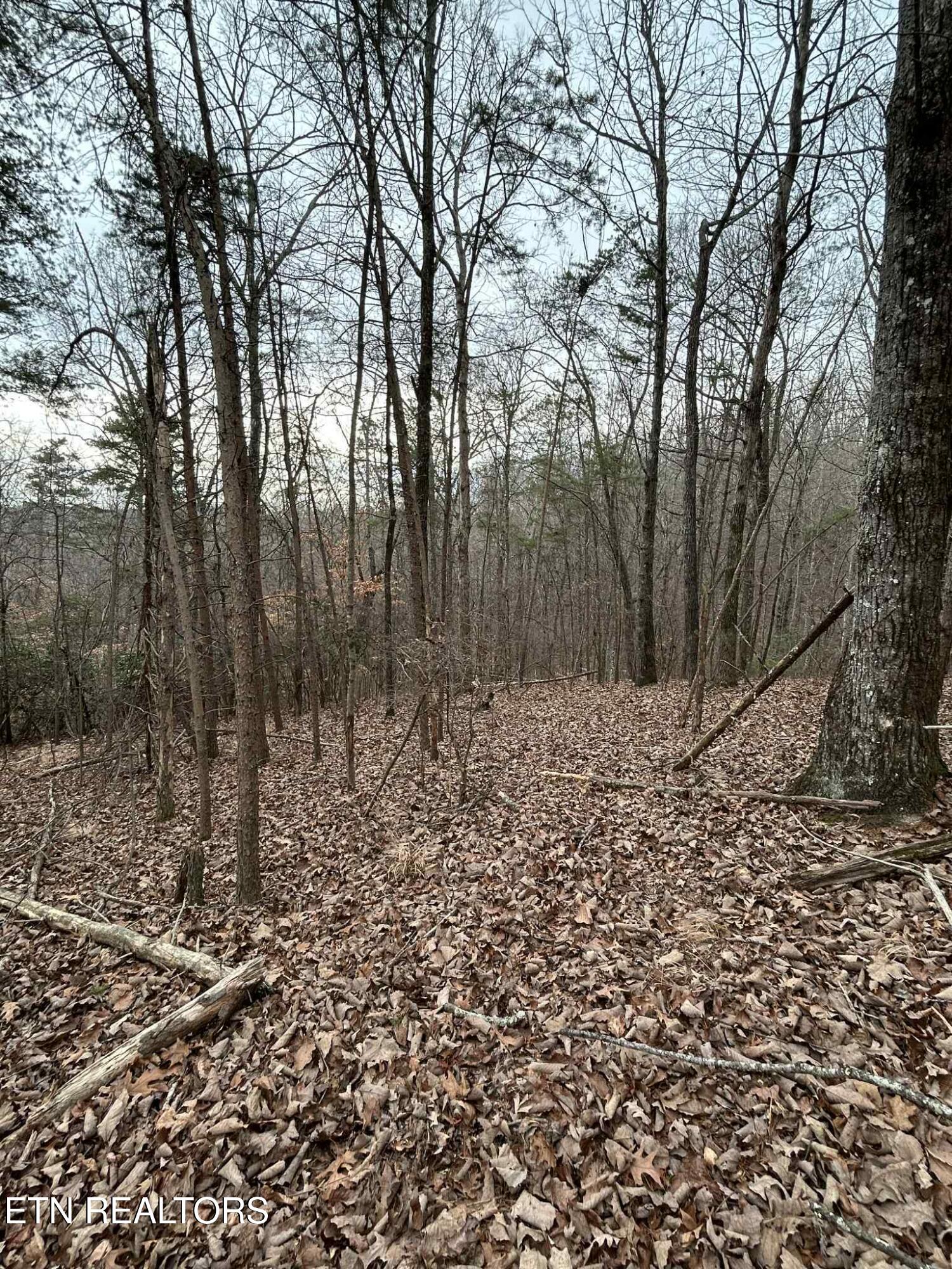 Black Hawk Drive Ten Mile TN 37880