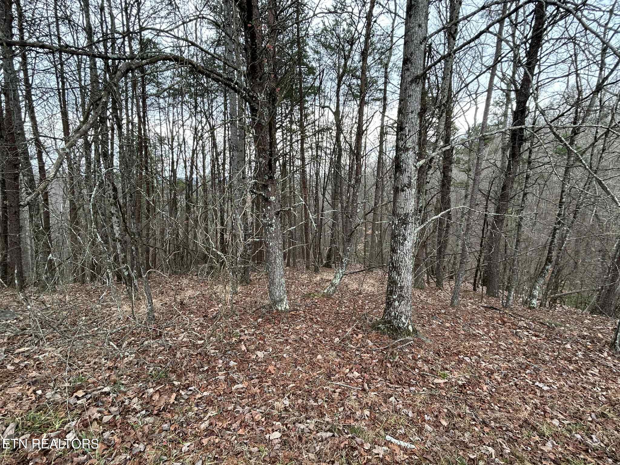 Black Hawk Drive Ten Mile TN 37880