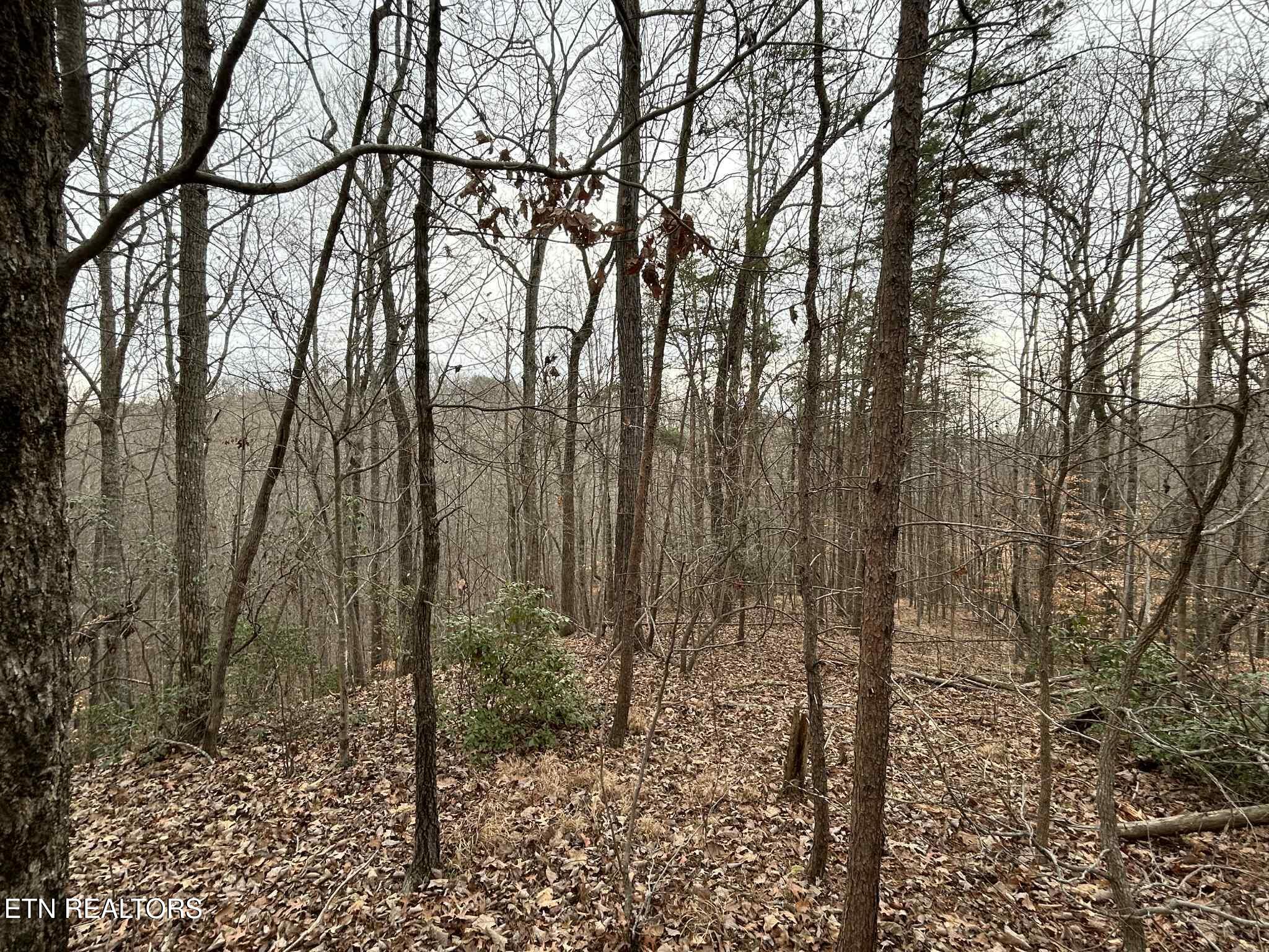 Black Hawk Drive Ten Mile TN 37880