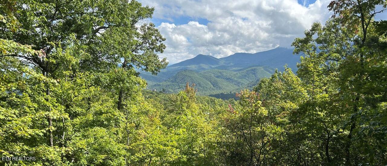 Oakley Heights Road Gatlinburg TN 37738